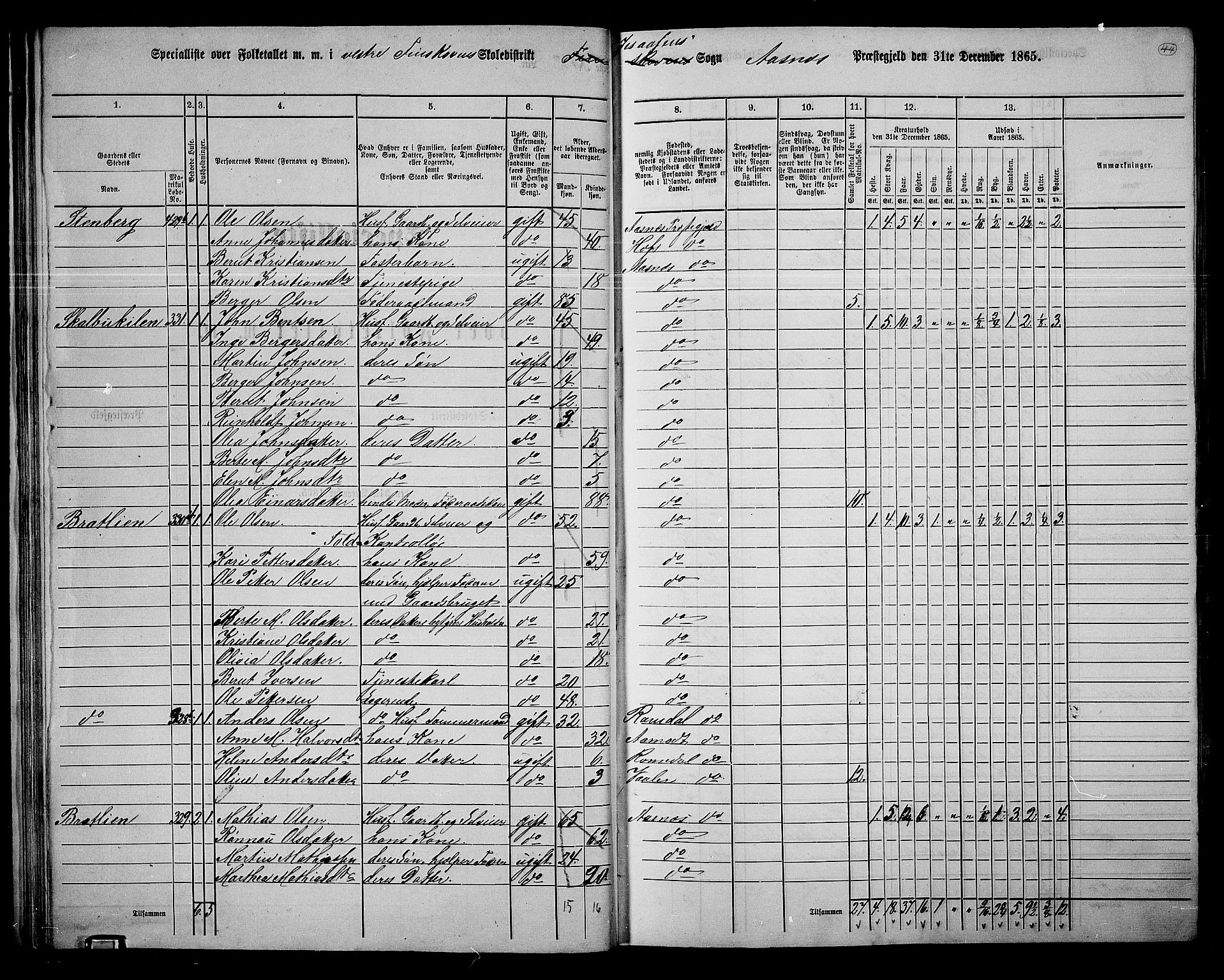 RA, 1865 census for Åsnes, 1865, p. 40