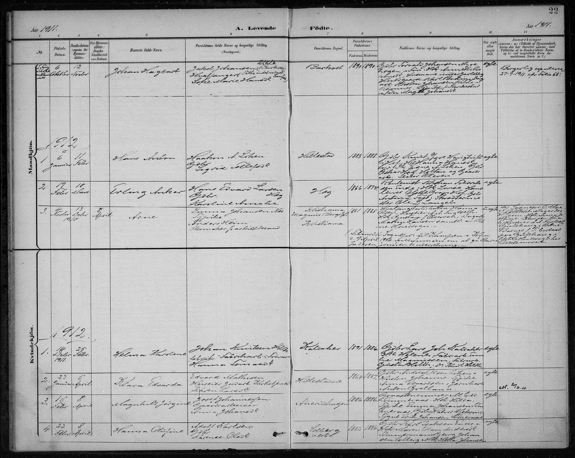 Botne kirkebøker, AV/SAKO-A-340/F/Fb/L0002: Parish register (official) no. II 2, 1902-1915, p. 22