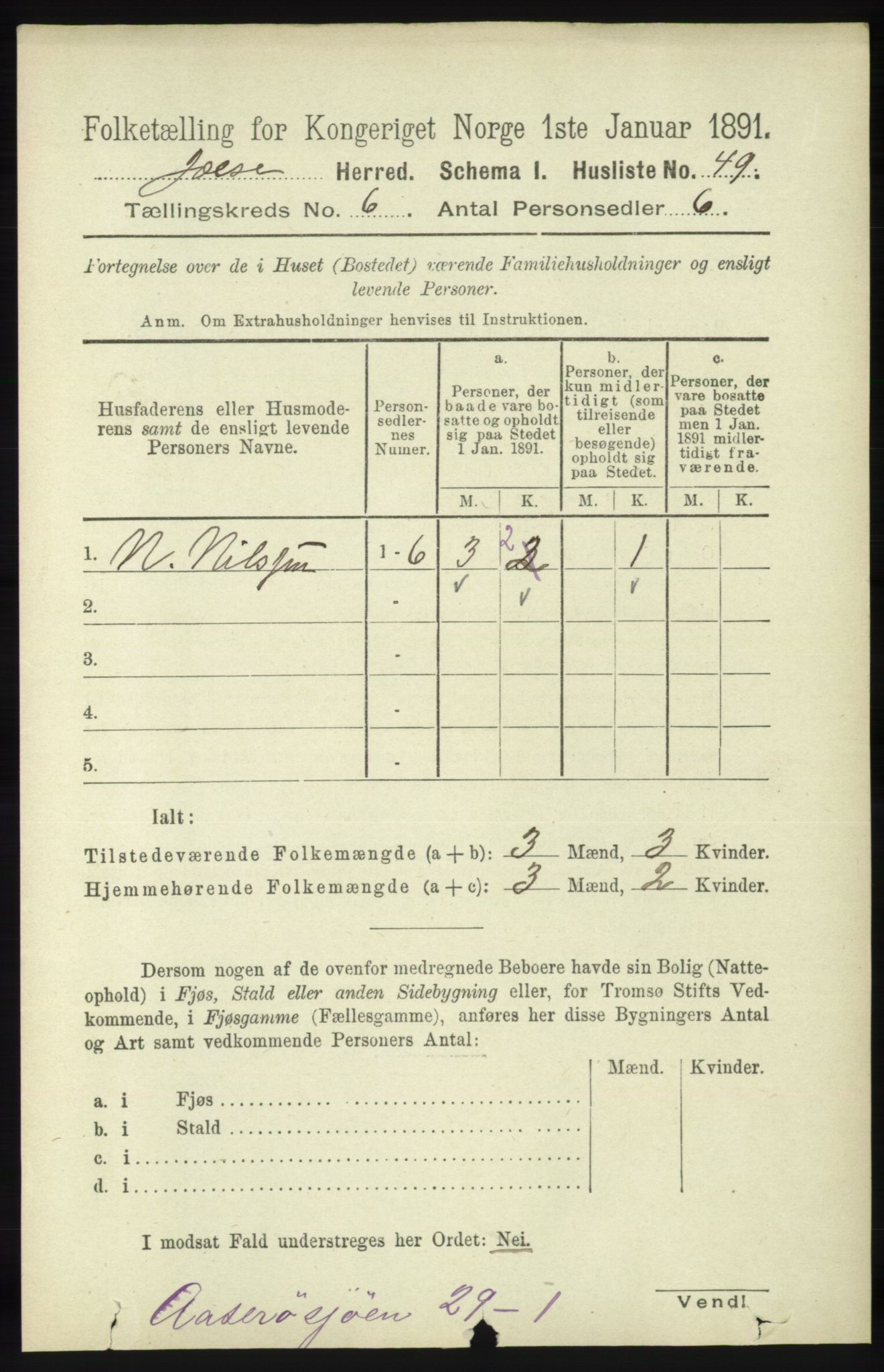 RA, 1891 census for 1138 Jelsa, 1891, p. 1203