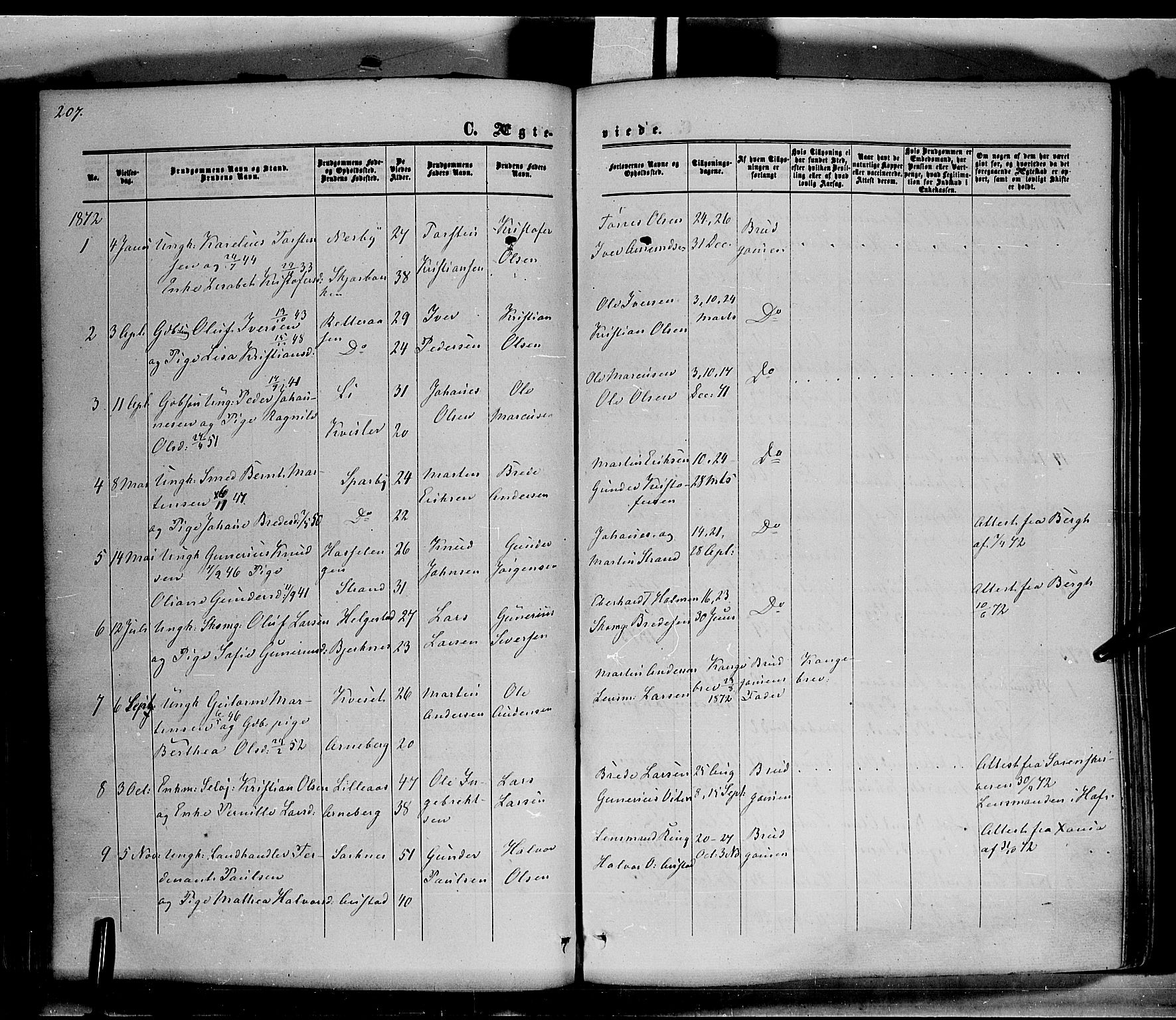 Hof prestekontor, SAH/PREST-038/H/Ha/Haa/L0009: Parish register (official) no. 9, 1862-1877, p. 207