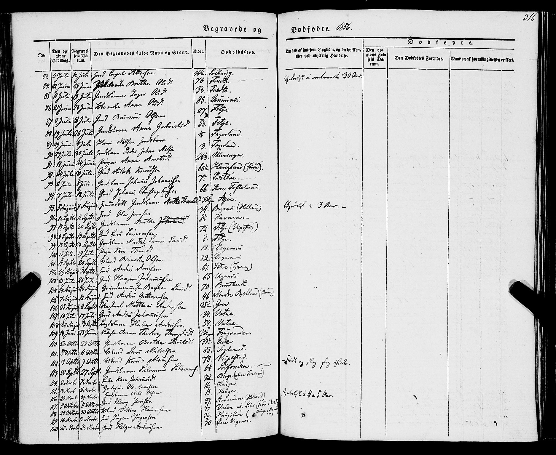 Stord sokneprestembete, AV/SAB-A-78201/H/Haa: Parish register (official) no. A 7, 1841-1861, p. 316