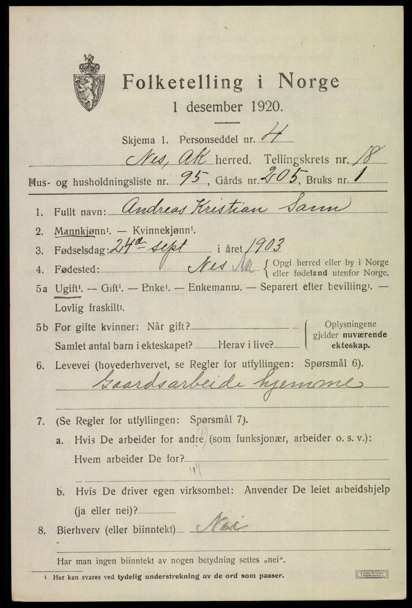 SAO, 1920 census for Nes, 1920, p. 18878