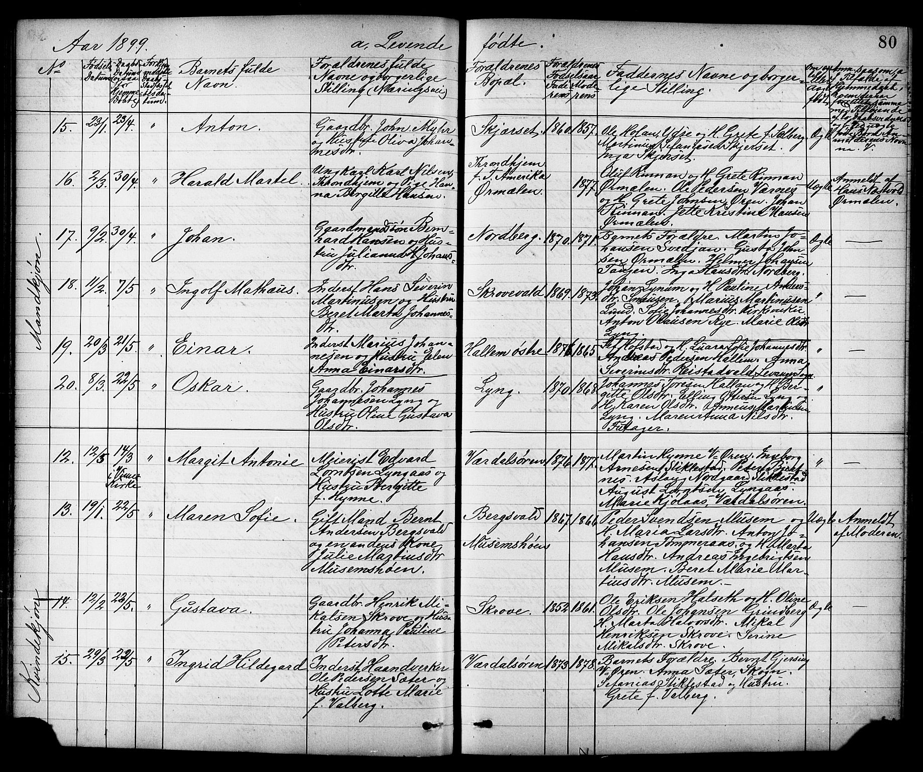 Ministerialprotokoller, klokkerbøker og fødselsregistre - Nord-Trøndelag, AV/SAT-A-1458/723/L0257: Parish register (copy) no. 723C05, 1890-1907, p. 80