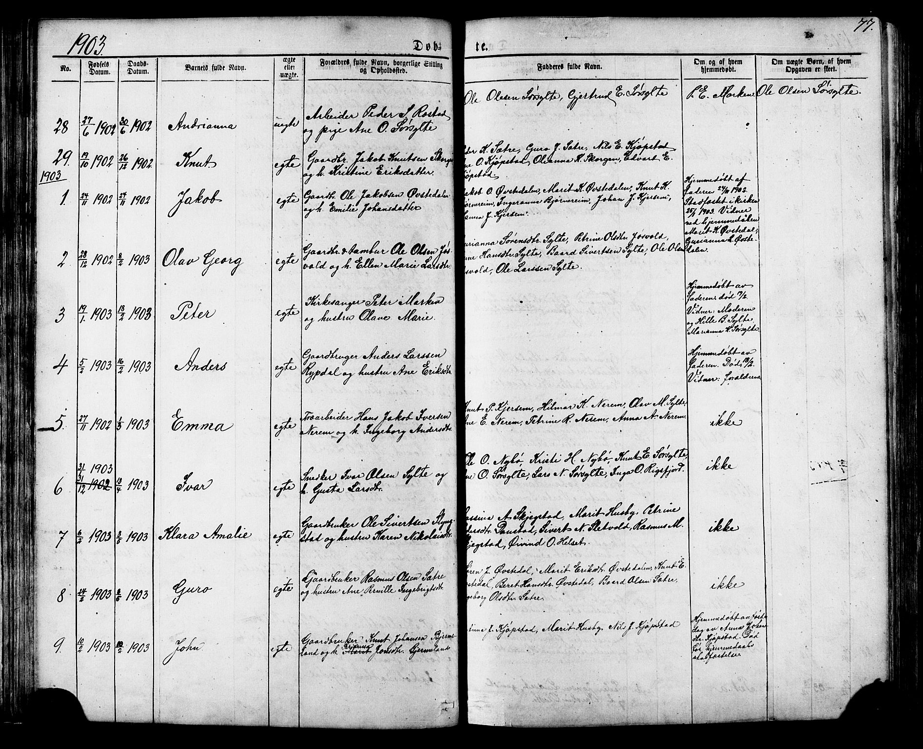 Ministerialprotokoller, klokkerbøker og fødselsregistre - Møre og Romsdal, SAT/A-1454/541/L0547: Parish register (copy) no. 541C02, 1867-1921, p. 77