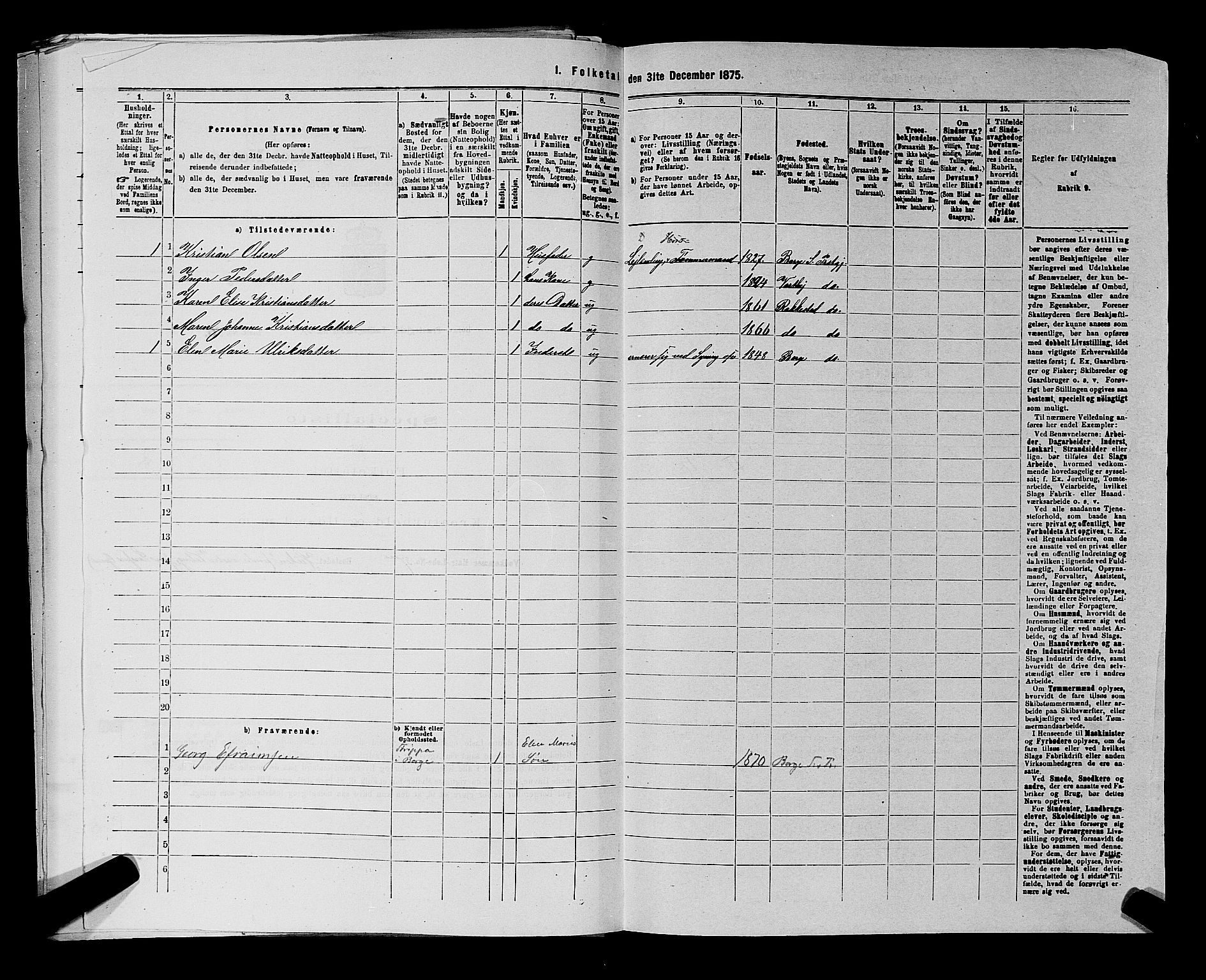 RA, 1875 census for 0113P Borge, 1875, p. 699