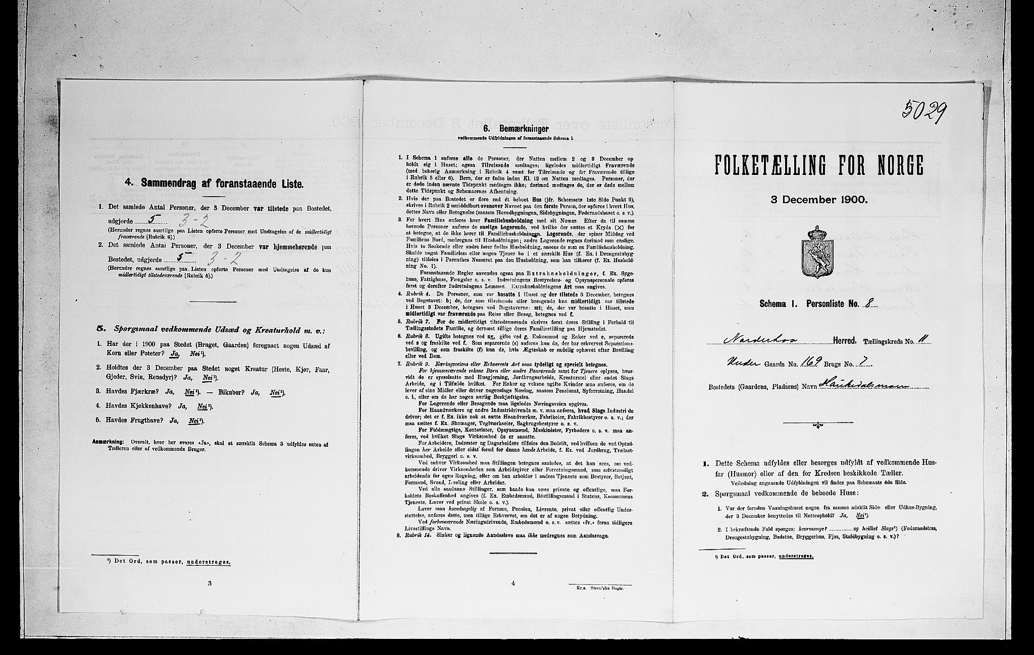 RA, 1900 census for Norderhov, 1900, p. 2482