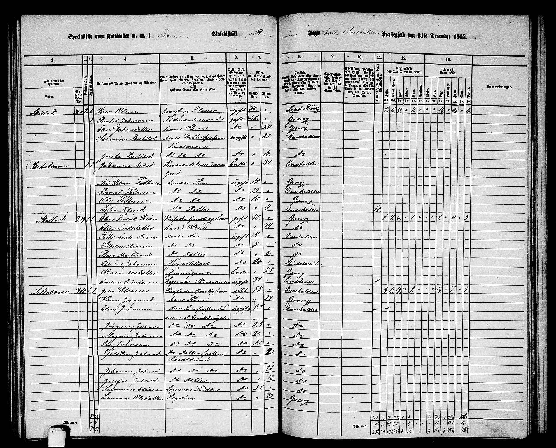 RA, 1865 census for Overhalla, 1865, p. 54