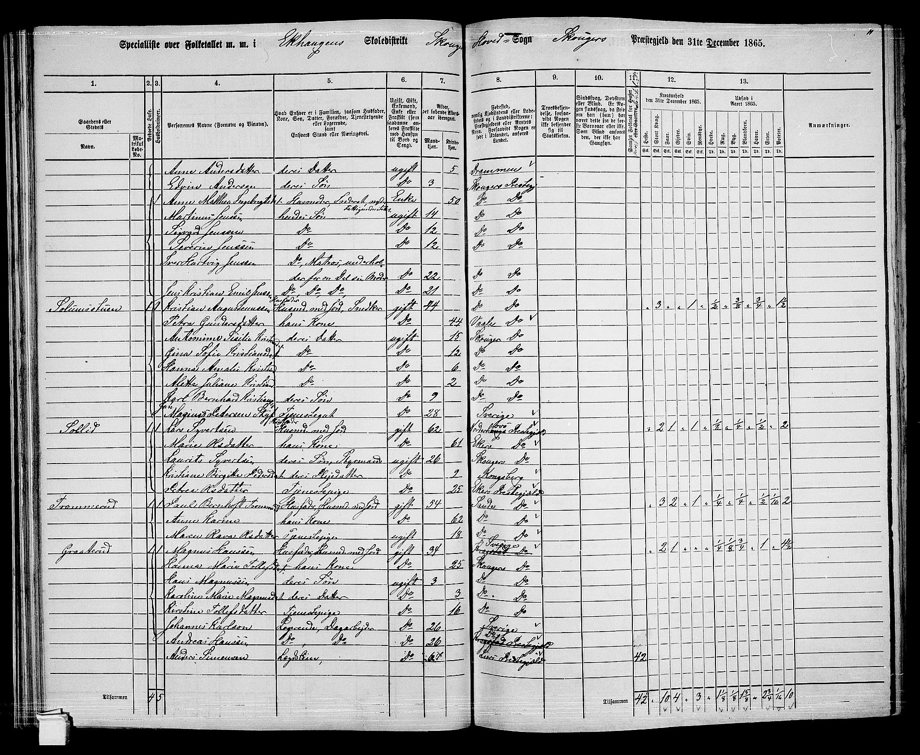 RA, 1865 census for Skoger, 1865, p. 49