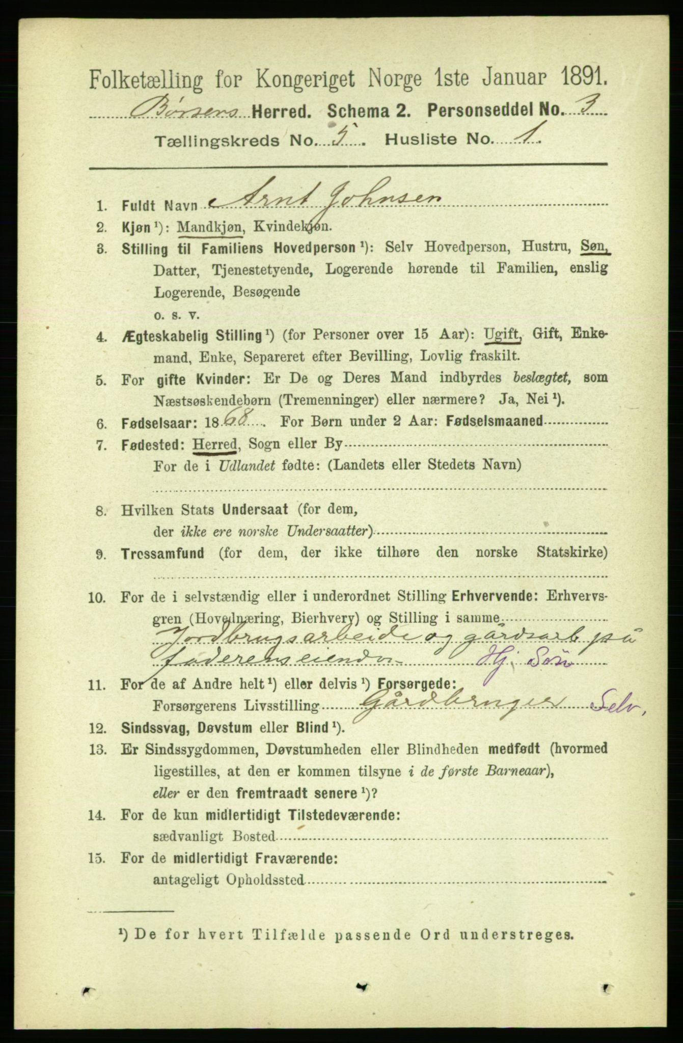 RA, 1891 census for 1658 Børsa, 1891, p. 1977