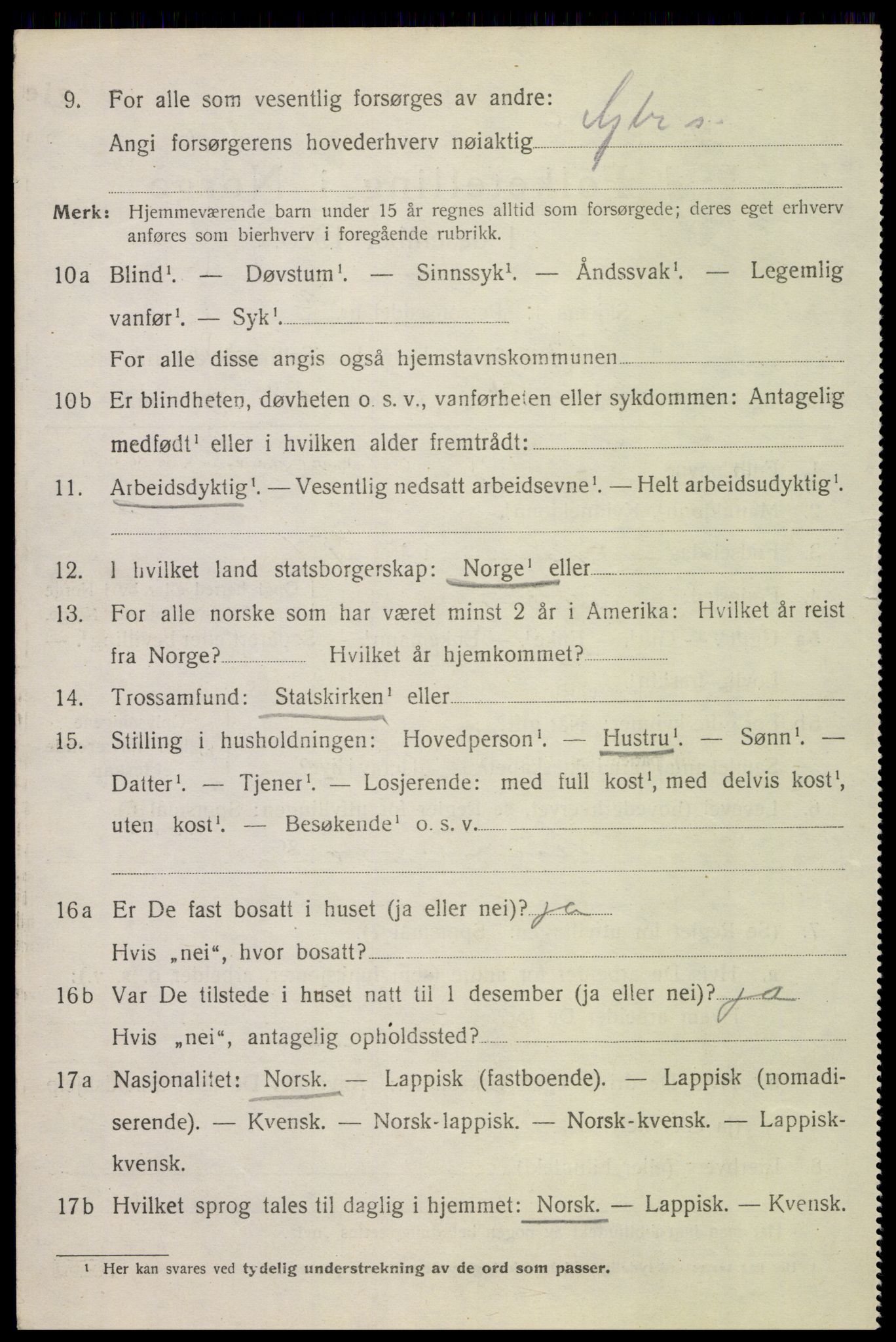 SAT, 1920 census for Borge, 1920, p. 4290