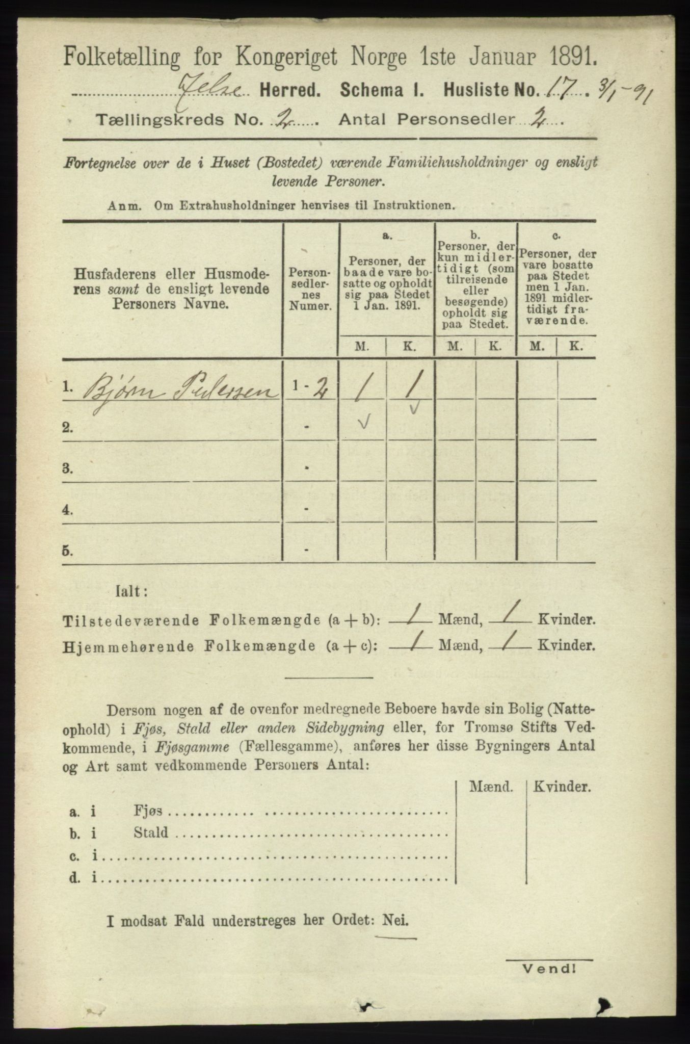 RA, 1891 census for 1138 Jelsa, 1891, p. 244