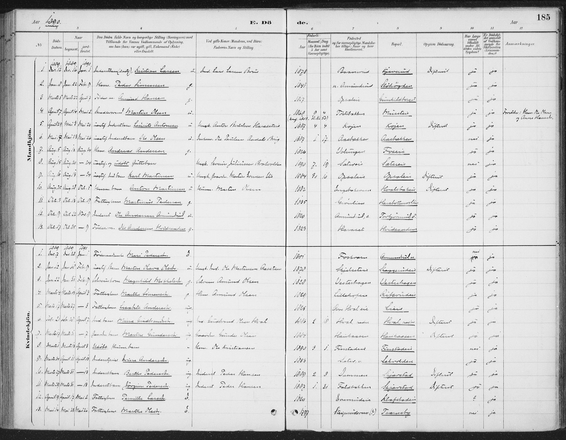 Romedal prestekontor, SAH/PREST-004/K/L0008: Parish register (official) no. 8, 1887-1905, p. 185