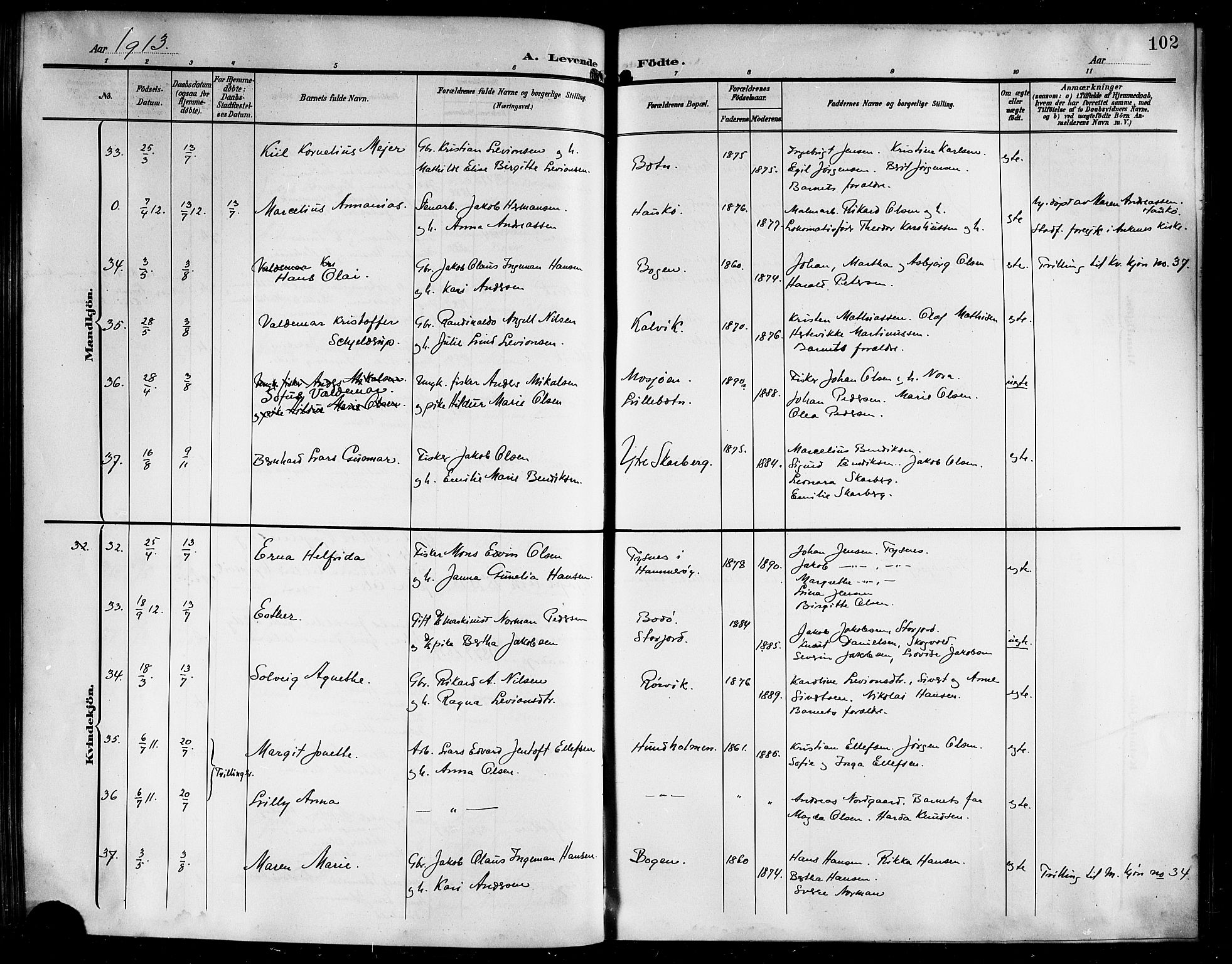 Ministerialprotokoller, klokkerbøker og fødselsregistre - Nordland, AV/SAT-A-1459/861/L0877: Parish register (copy) no. 861C03, 1903-1919, p. 102