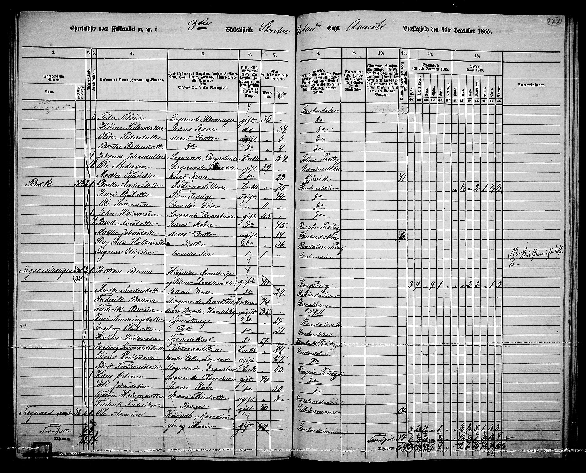 RA, 1865 census for Åmot, 1865, p. 153