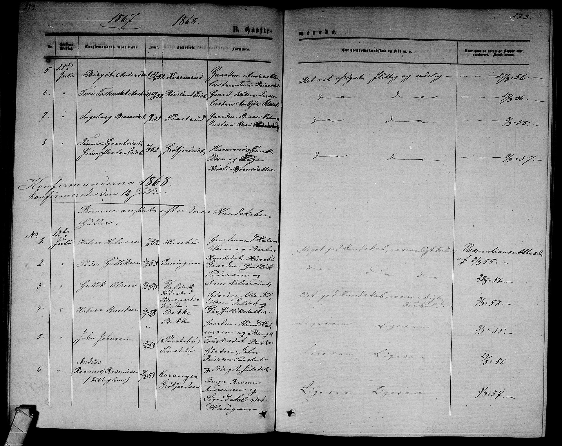 Nore kirkebøker, SAKO/A-238/G/Gb/L0001: Parish register (copy) no. II 1, 1862-1877, p. 272-273