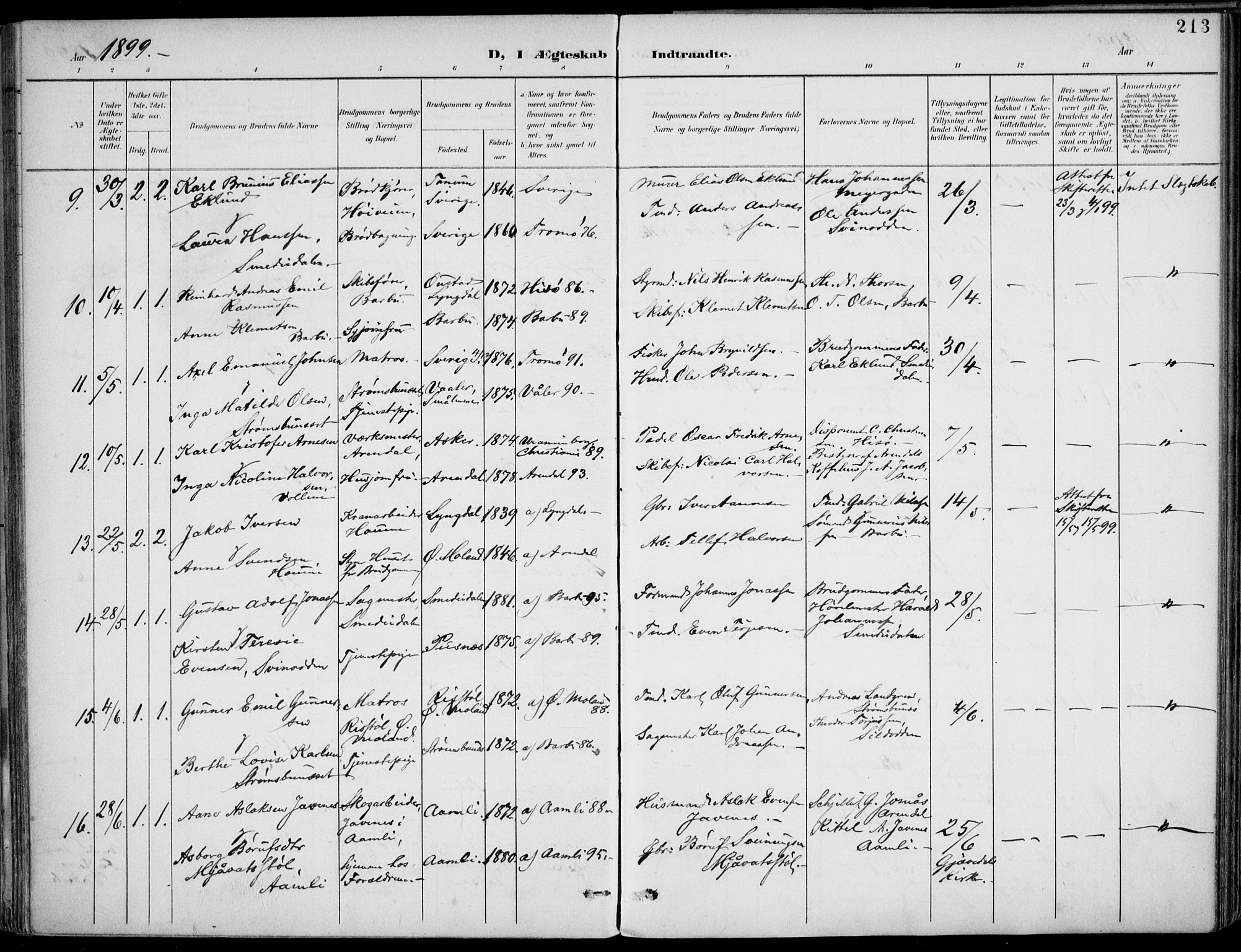 Barbu sokneprestkontor, AV/SAK-1111-0003/F/Fa/L0005: Parish register (official) no. A 5, 1899-1909, p. 213