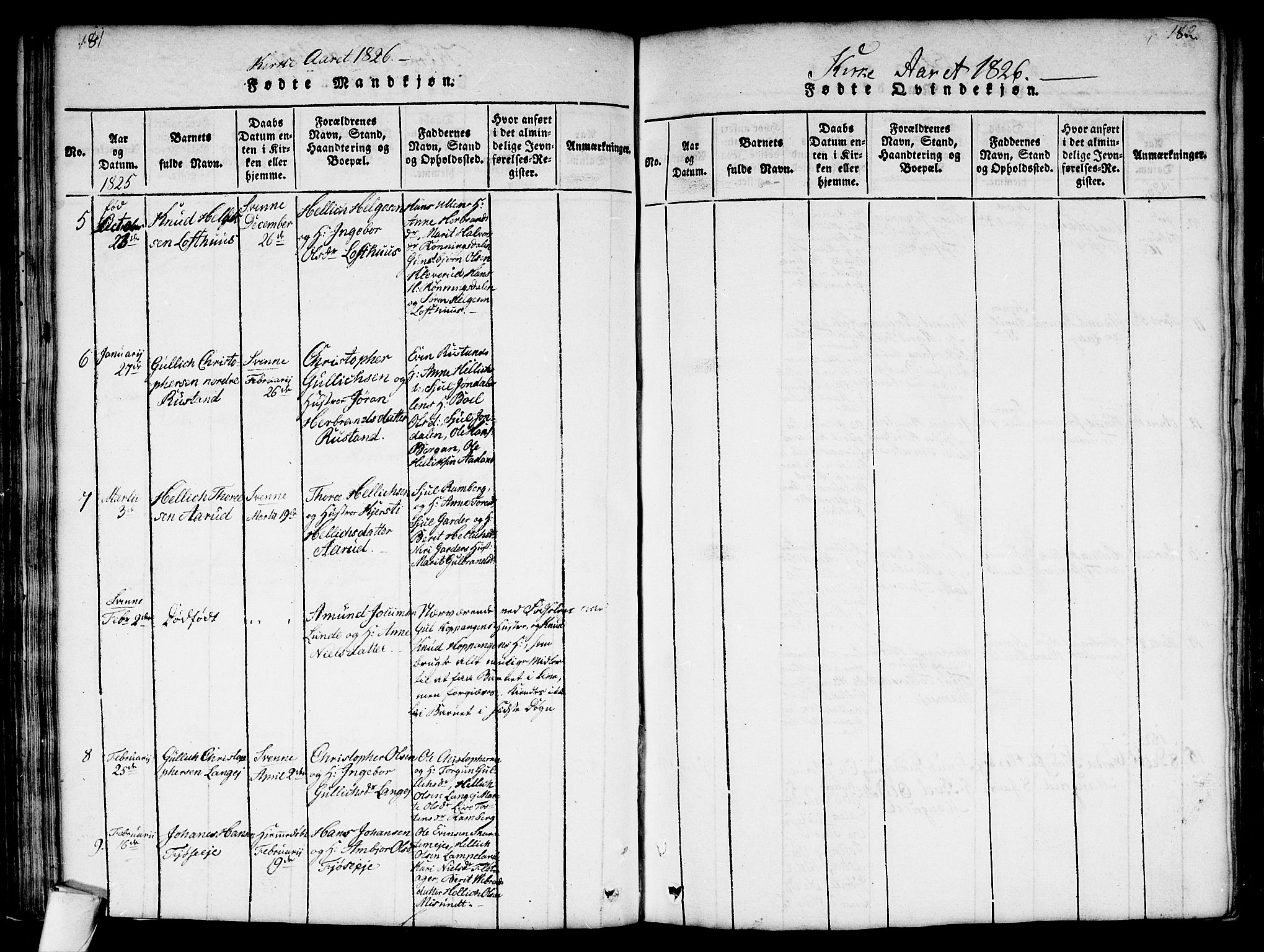 Flesberg kirkebøker, AV/SAKO-A-18/G/Ga/L0001: Parish register (copy) no. I 1, 1816-1834, p. 181-182