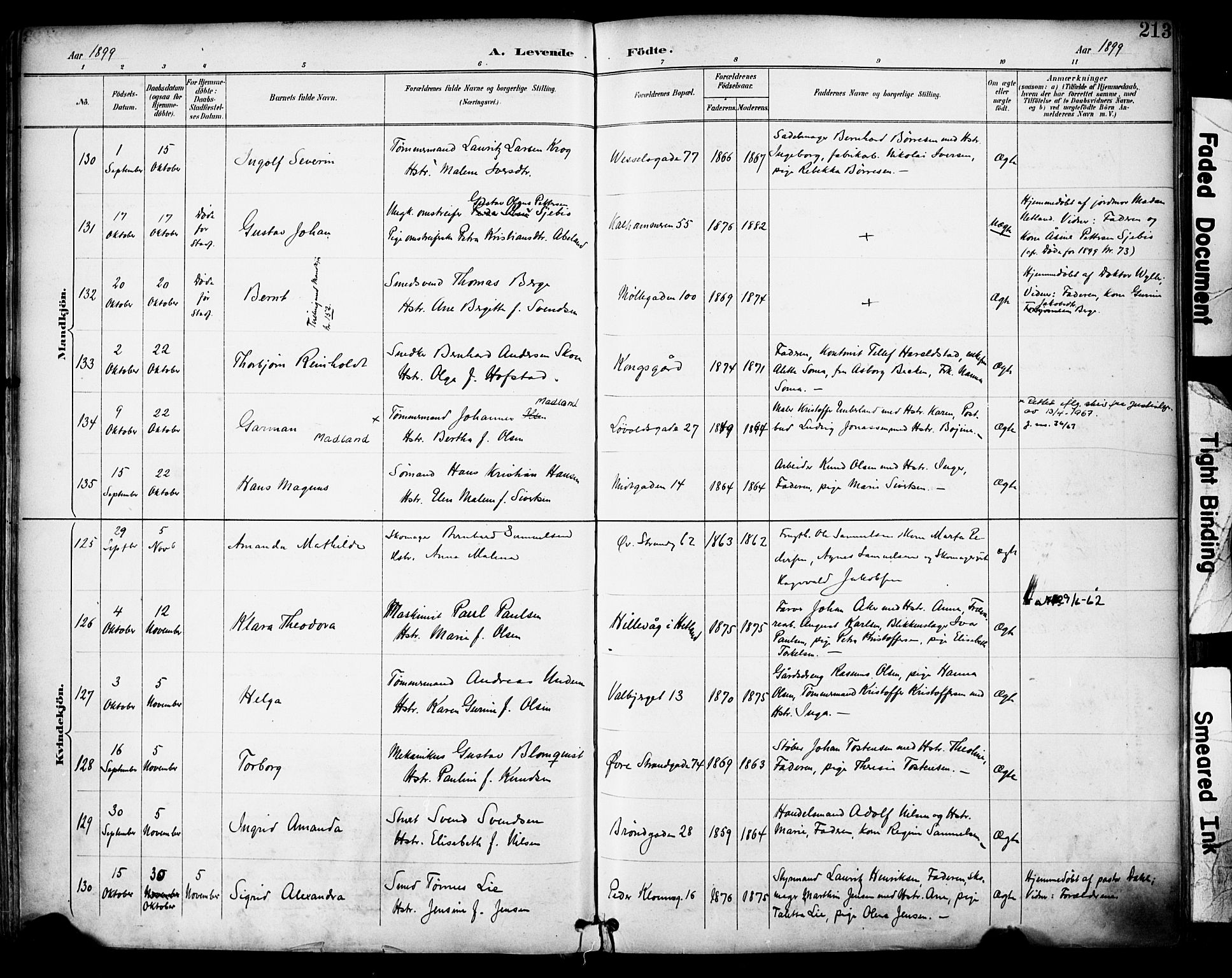 Domkirken sokneprestkontor, SAST/A-101812/001/30/30BA/L0030: Parish register (official) no. A 29, 1889-1902, p. 213