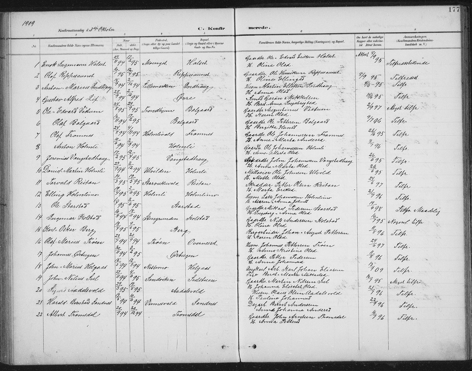 Ministerialprotokoller, klokkerbøker og fødselsregistre - Nord-Trøndelag, SAT/A-1458/724/L0269: Parish register (copy) no. 724C05, 1899-1920, p. 177
