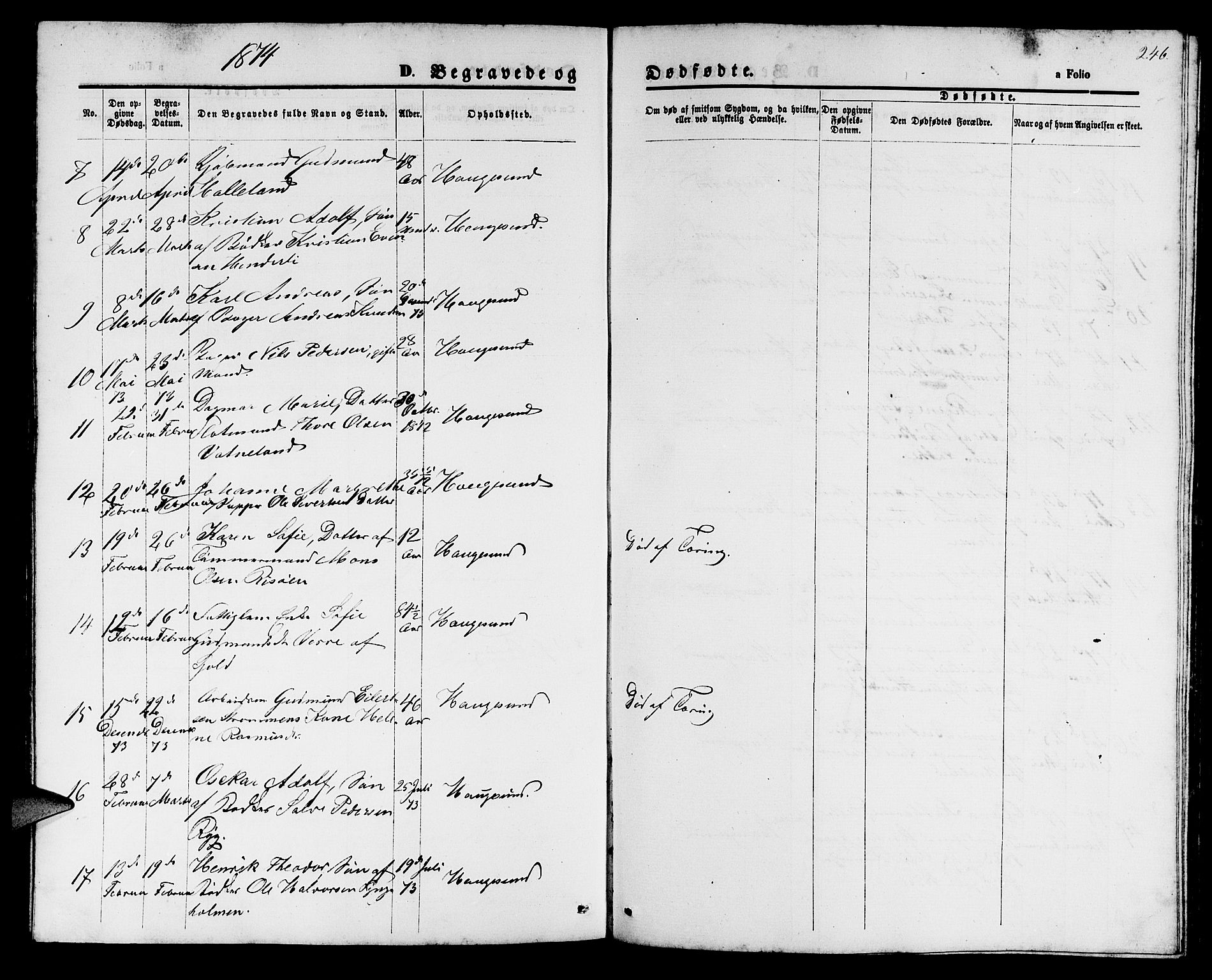 Haugesund sokneprestkontor, AV/SAST-A -101863/H/Ha/Hab/L0001: Parish register (copy) no. B 1, 1873-1881, p. 246