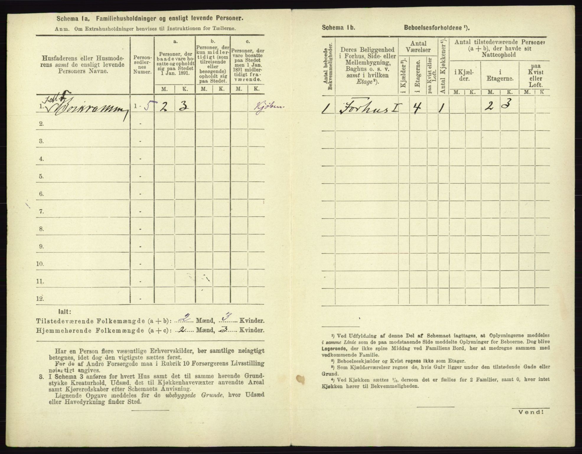 RA, 1891 census for 0101 Fredrikshald, 1891, p. 917