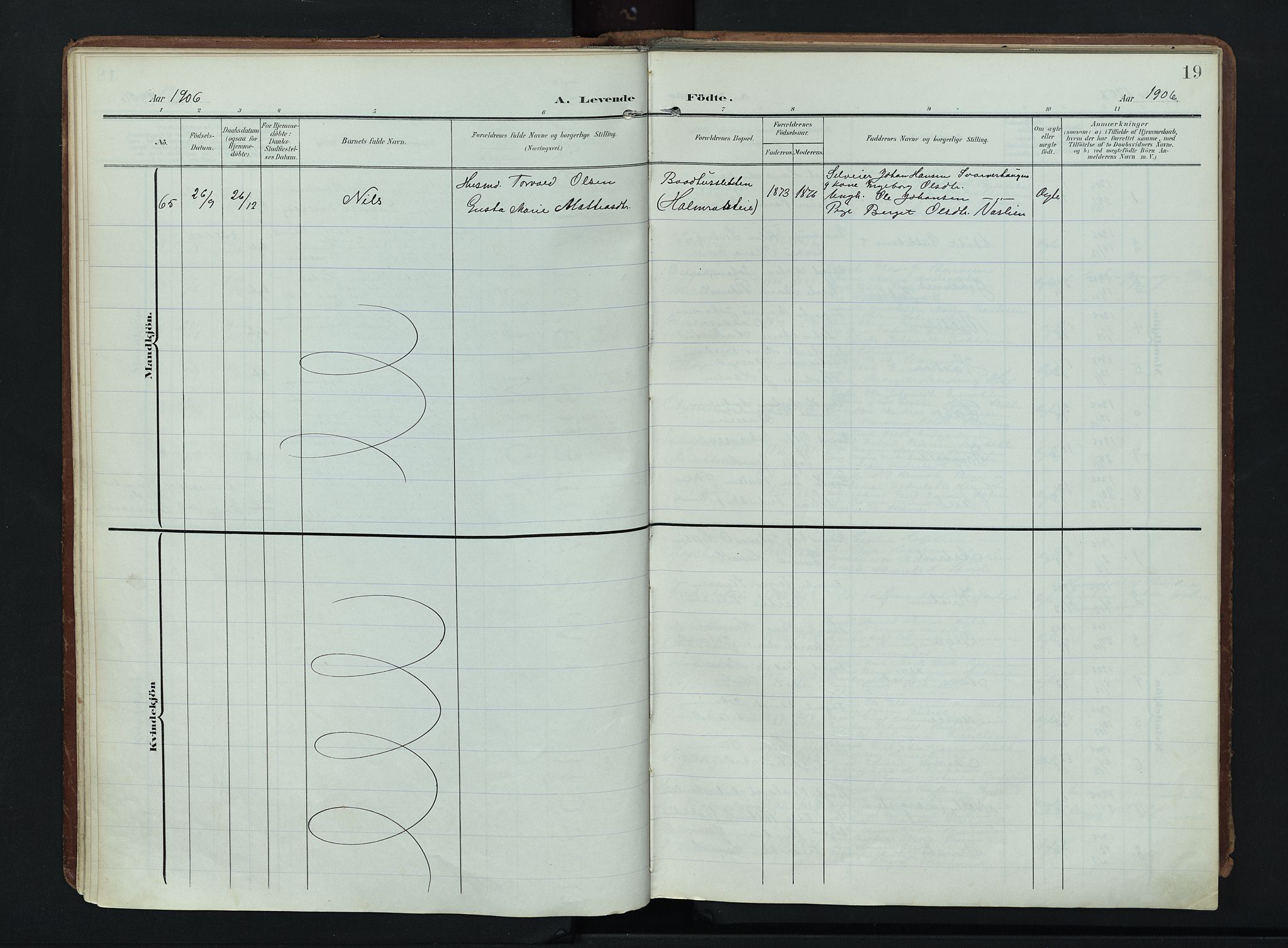 Søndre Land prestekontor, AV/SAH-PREST-122/K/L0007: Parish register (official) no. 7, 1905-1914, p. 19