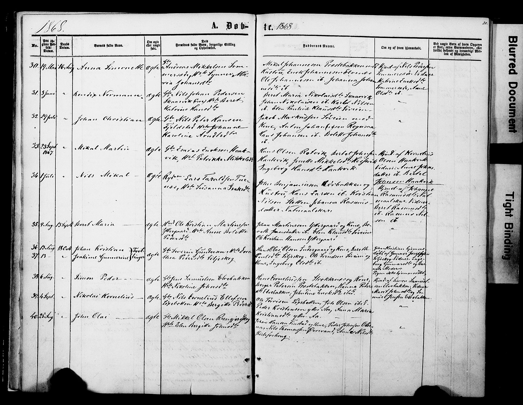 Ibestad sokneprestembete, SATØ/S-0077/H/Ha/Haa/L0013kirke: Parish register (official) no. 13, 1865-1879, p. 20