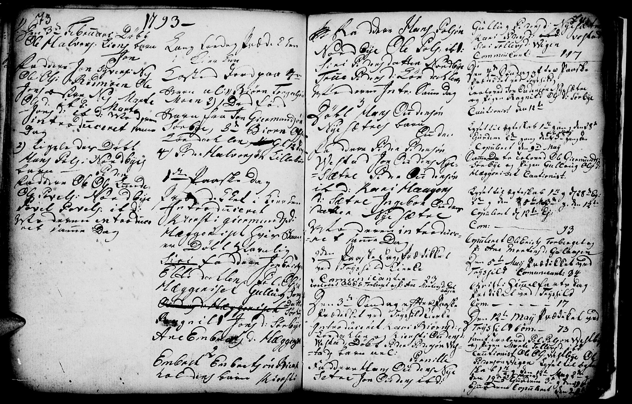 Trysil prestekontor, SAH/PREST-046/H/Ha/Hab/L0001: Parish register (copy) no. 1, 1781-1799, p. 73-74