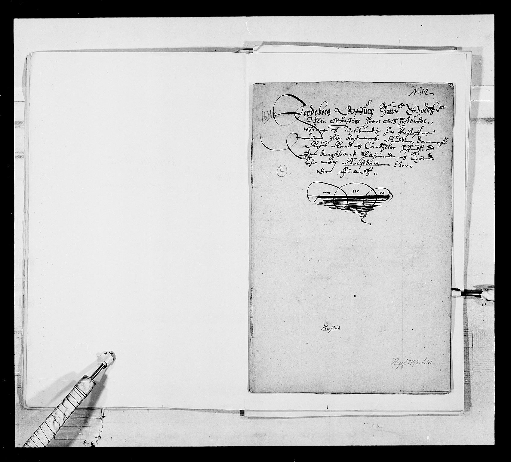 Stattholderembetet 1572-1771, AV/RA-EA-2870/Ek/L0020/0004: Jordebøker 1633-1658: / Adelsjordebøker innlevert mellom 1/5 1646 og 15/7 1648, 1646-1648, p. 99