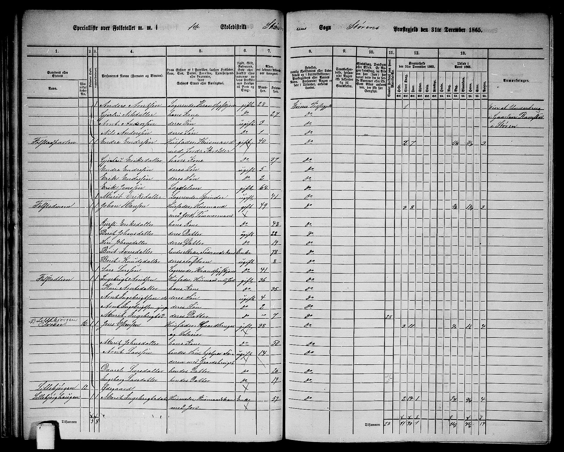 RA, 1865 census for Støren, 1865, p. 35