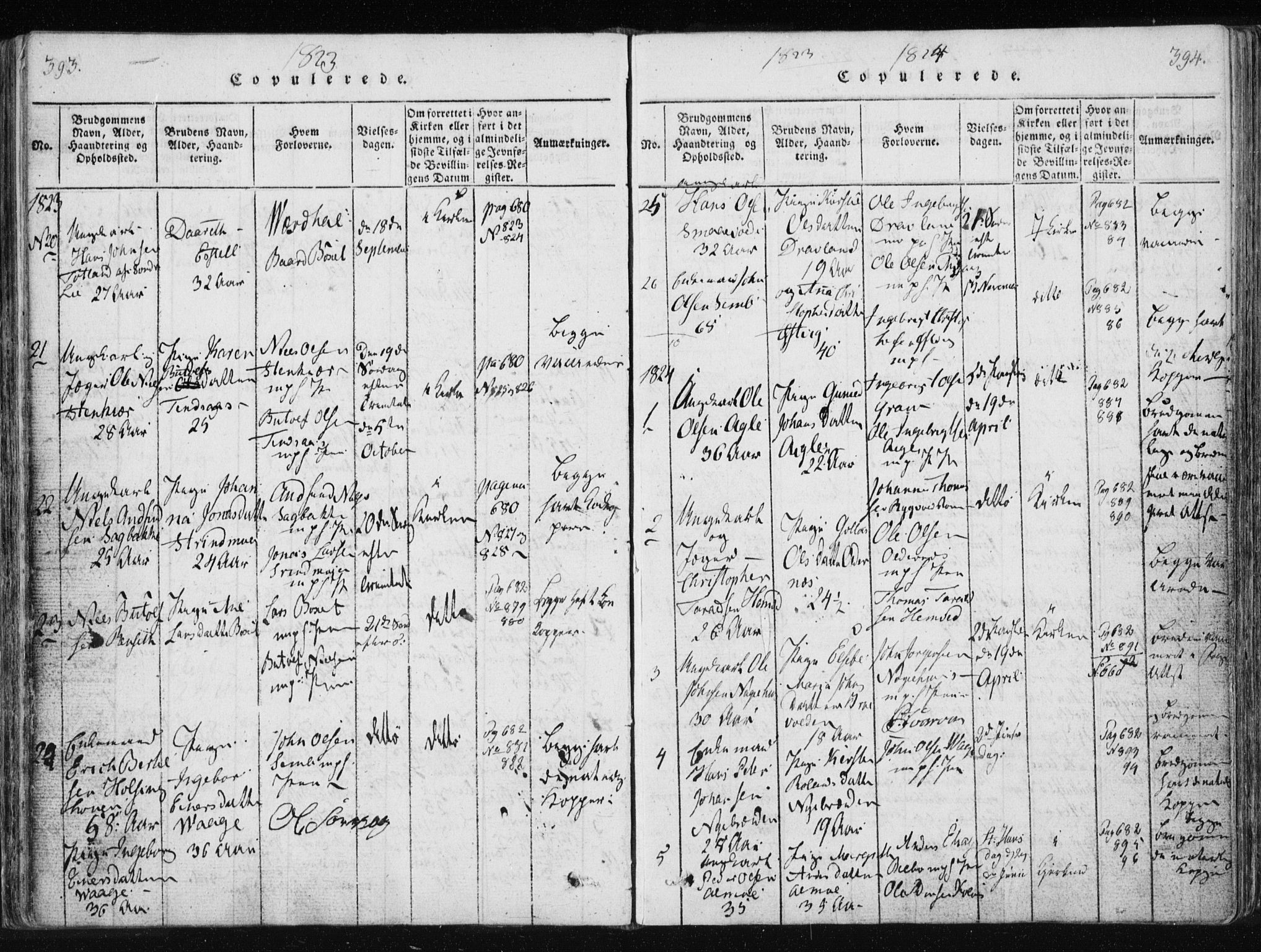 Ministerialprotokoller, klokkerbøker og fødselsregistre - Nord-Trøndelag, SAT/A-1458/749/L0469: Parish register (official) no. 749A03, 1817-1857, p. 393-394