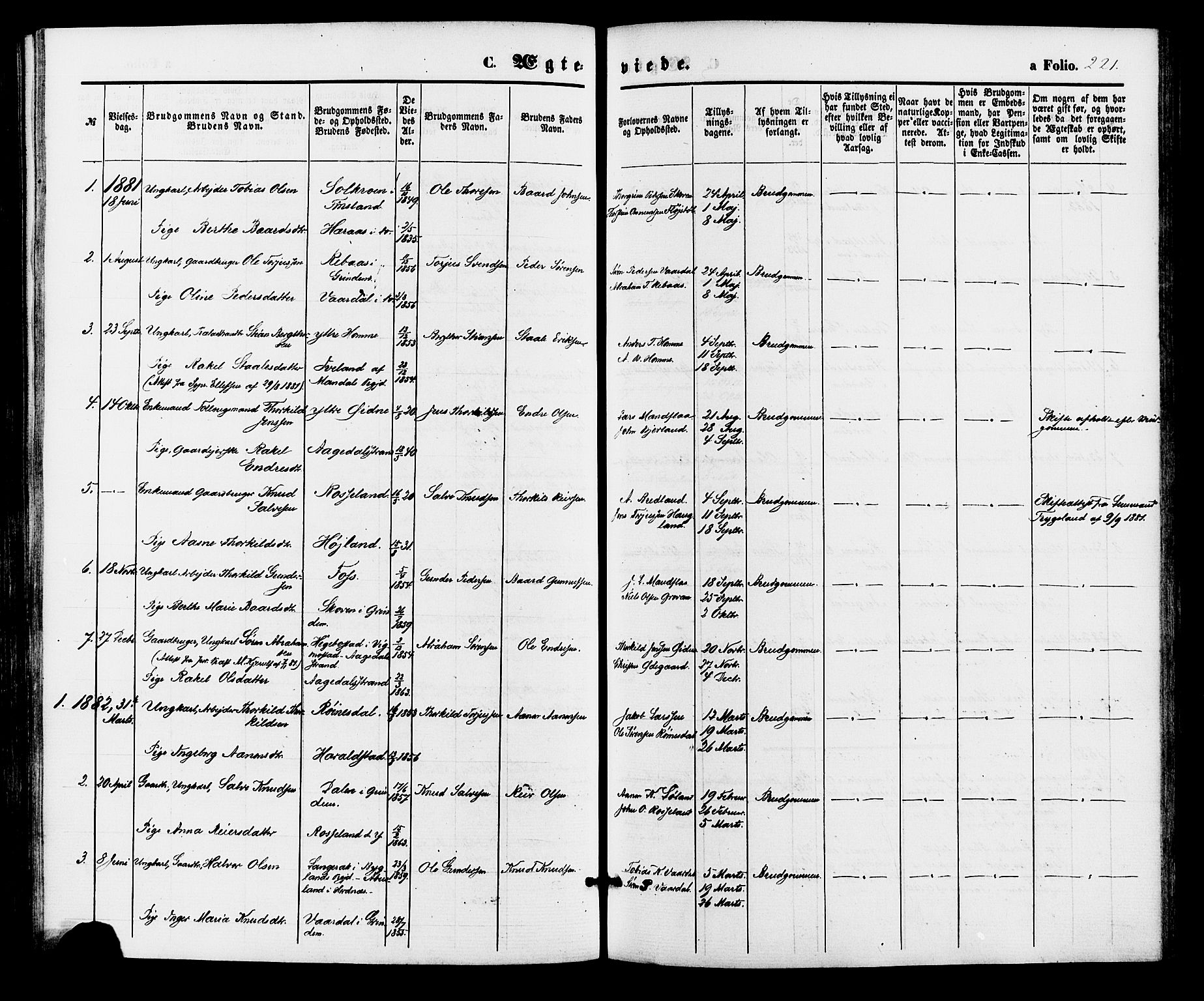 Bjelland sokneprestkontor, SAK/1111-0005/F/Fa/Faa/L0003: Parish register (official) no. A 3, 1867-1887, p. 221
