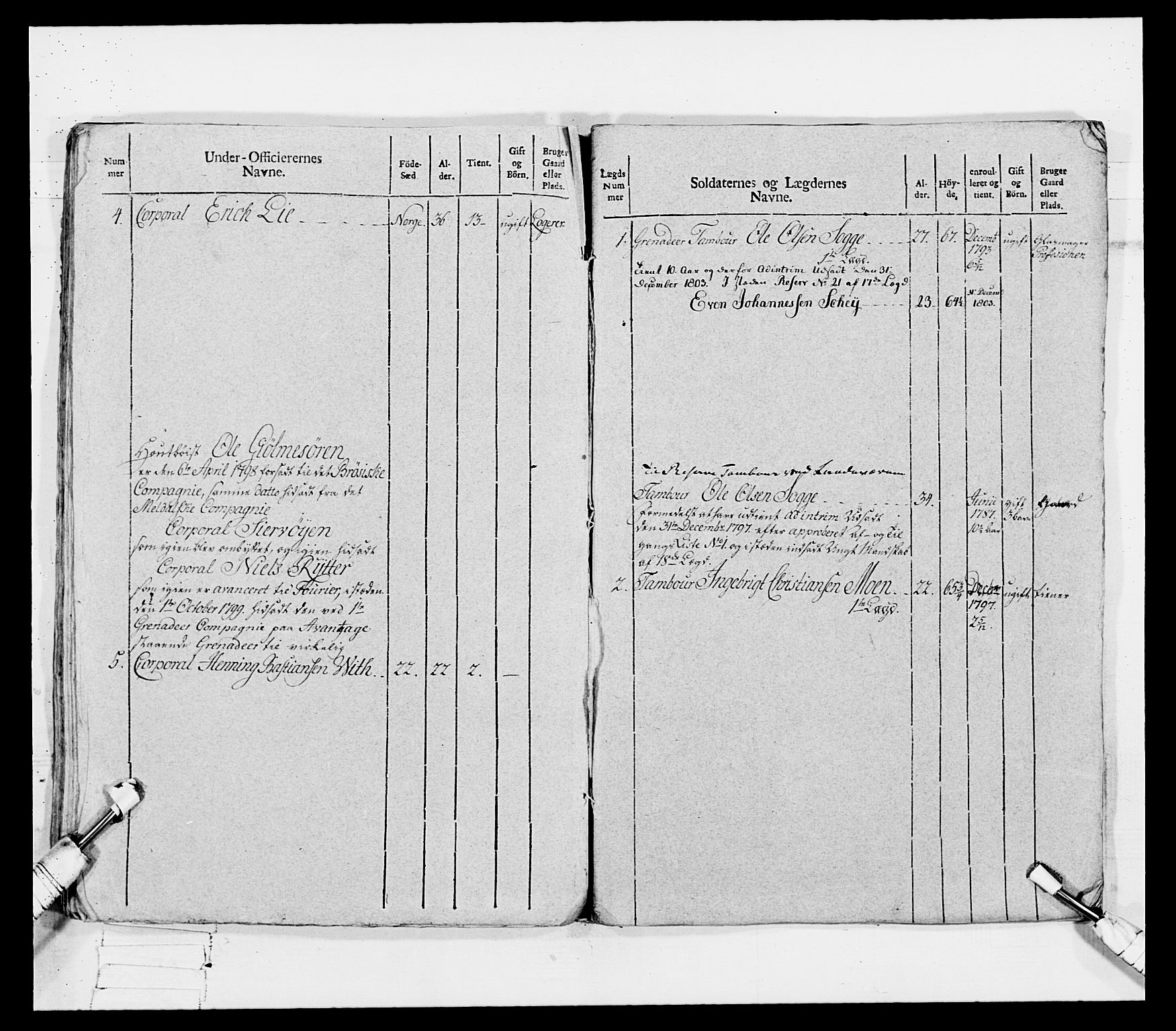 Generalitets- og kommissariatskollegiet, Det kongelige norske kommissariatskollegium, AV/RA-EA-5420/E/Eh/L0080: 2. Trondheimske nasjonale infanteriregiment, 1792-1800, p. 226