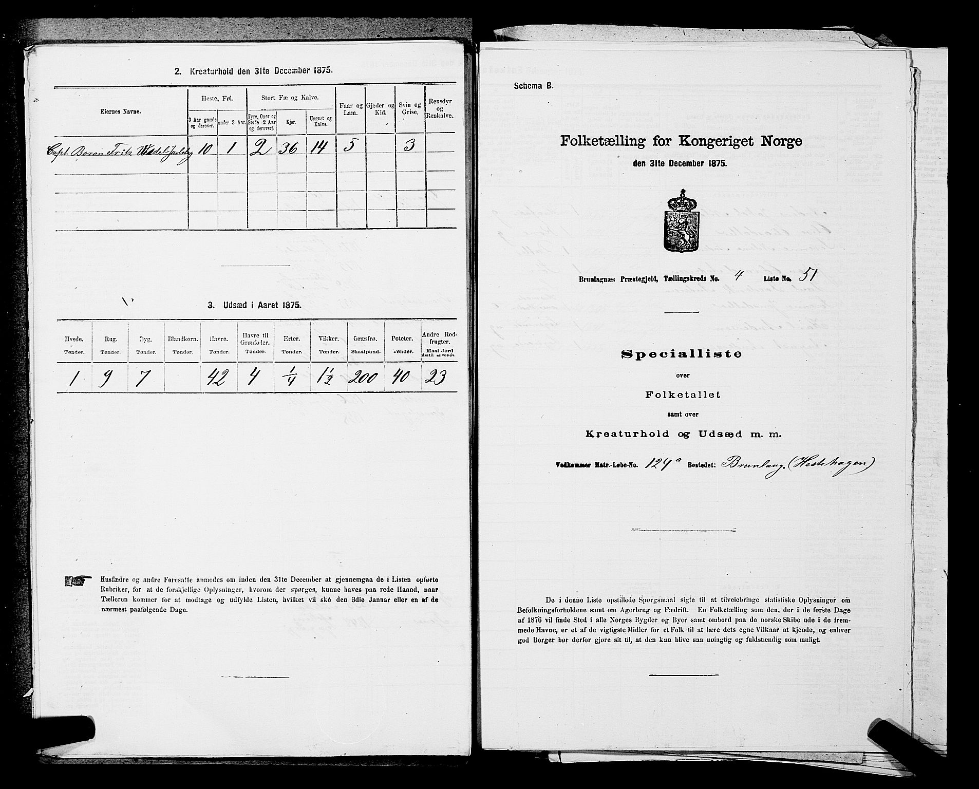 SAKO, 1875 census for 0726P Brunlanes, 1875, p. 552