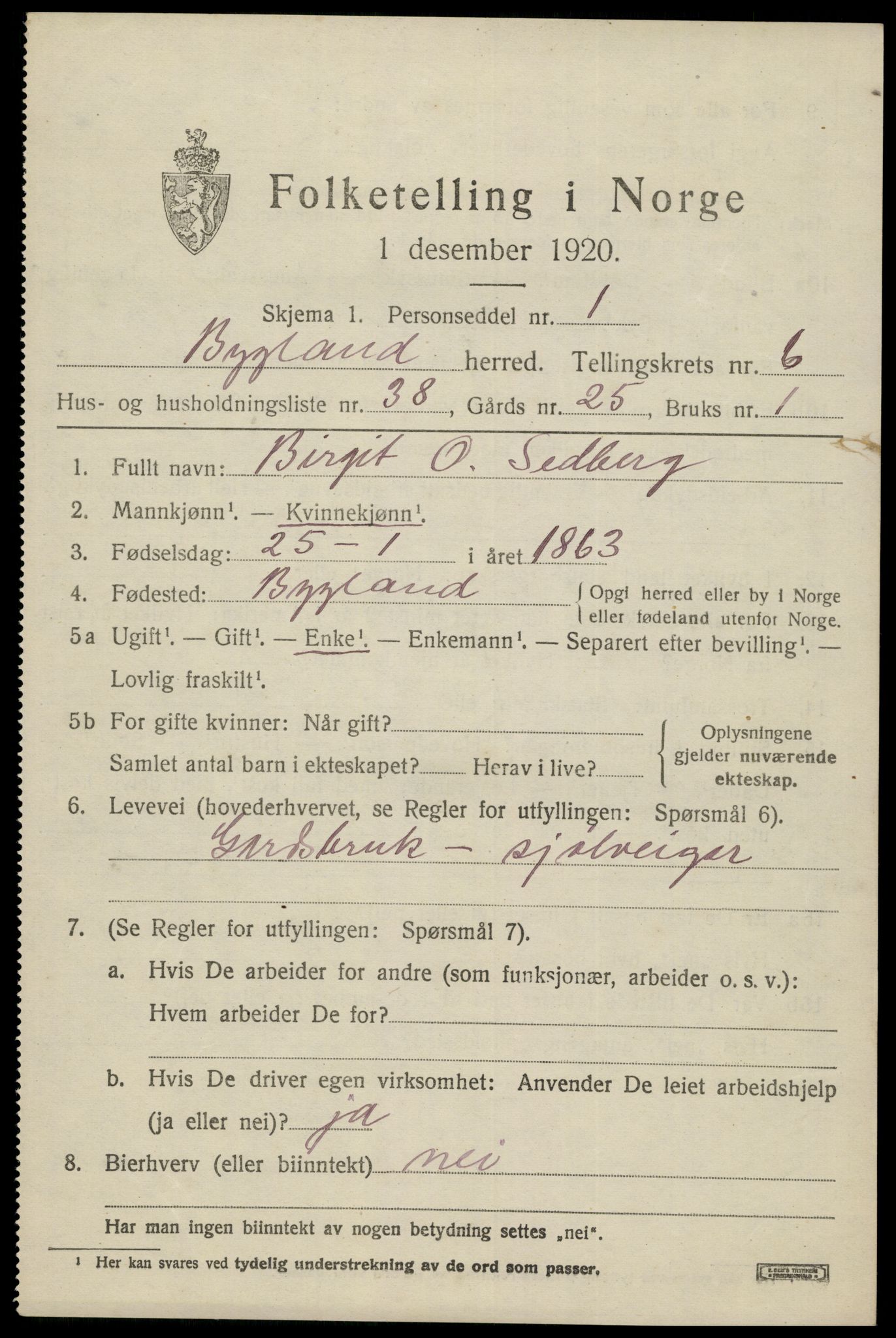 SAK, 1920 census for Bygland, 1920, p. 2515