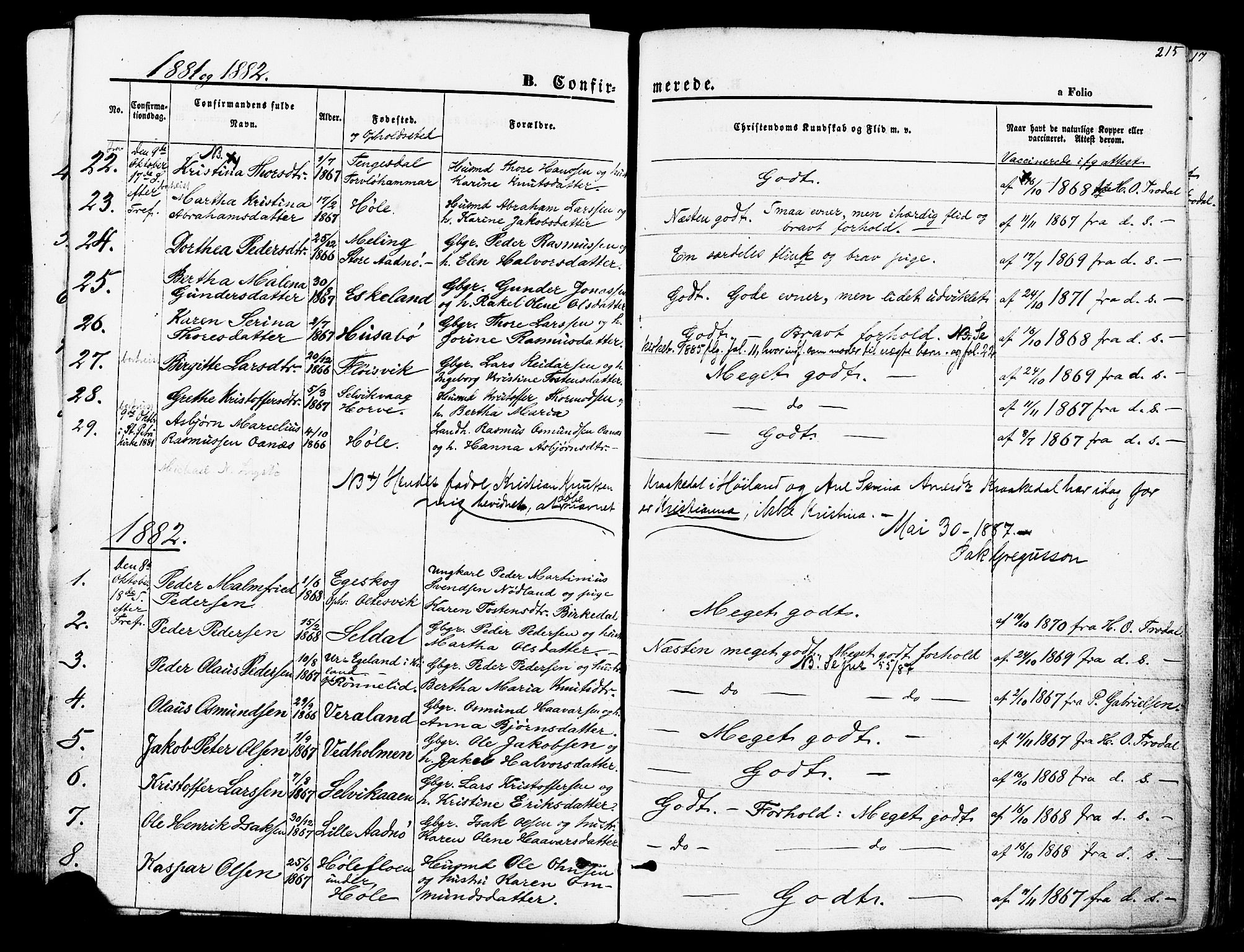 Høgsfjord sokneprestkontor, SAST/A-101624/H/Ha/Haa/L0002: Parish register (official) no. A 2, 1855-1885, p. 215