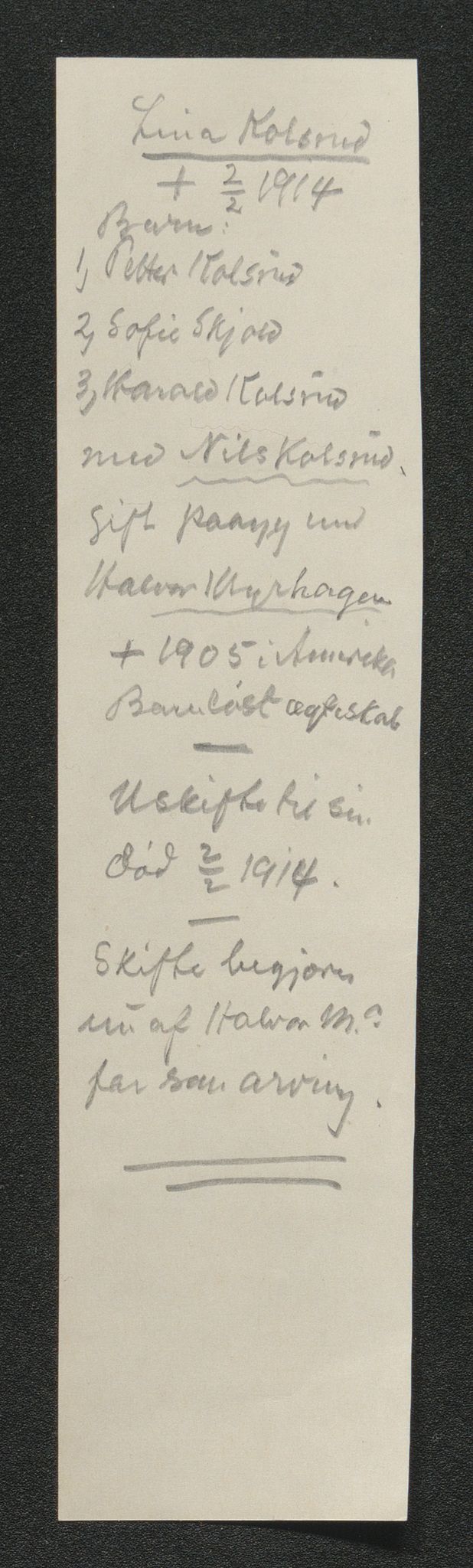 Eiker, Modum og Sigdal sorenskriveri, SAKO/A-123/H/Ha/Hab/L0037: Dødsfallsmeldinger, 1914-1915, p. 422