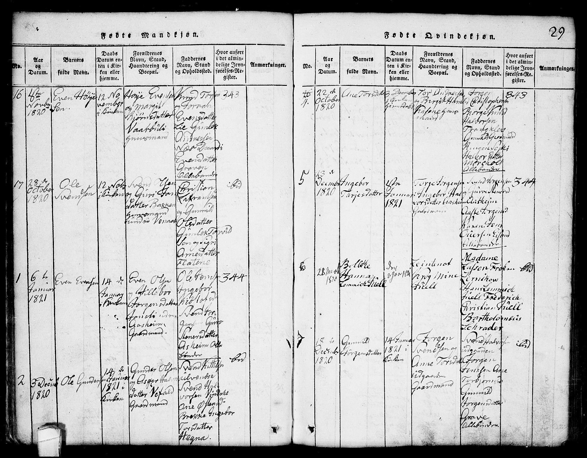 Seljord kirkebøker, AV/SAKO-A-20/G/Ga/L0001: Parish register (copy) no. I 1, 1815-1854, p. 29