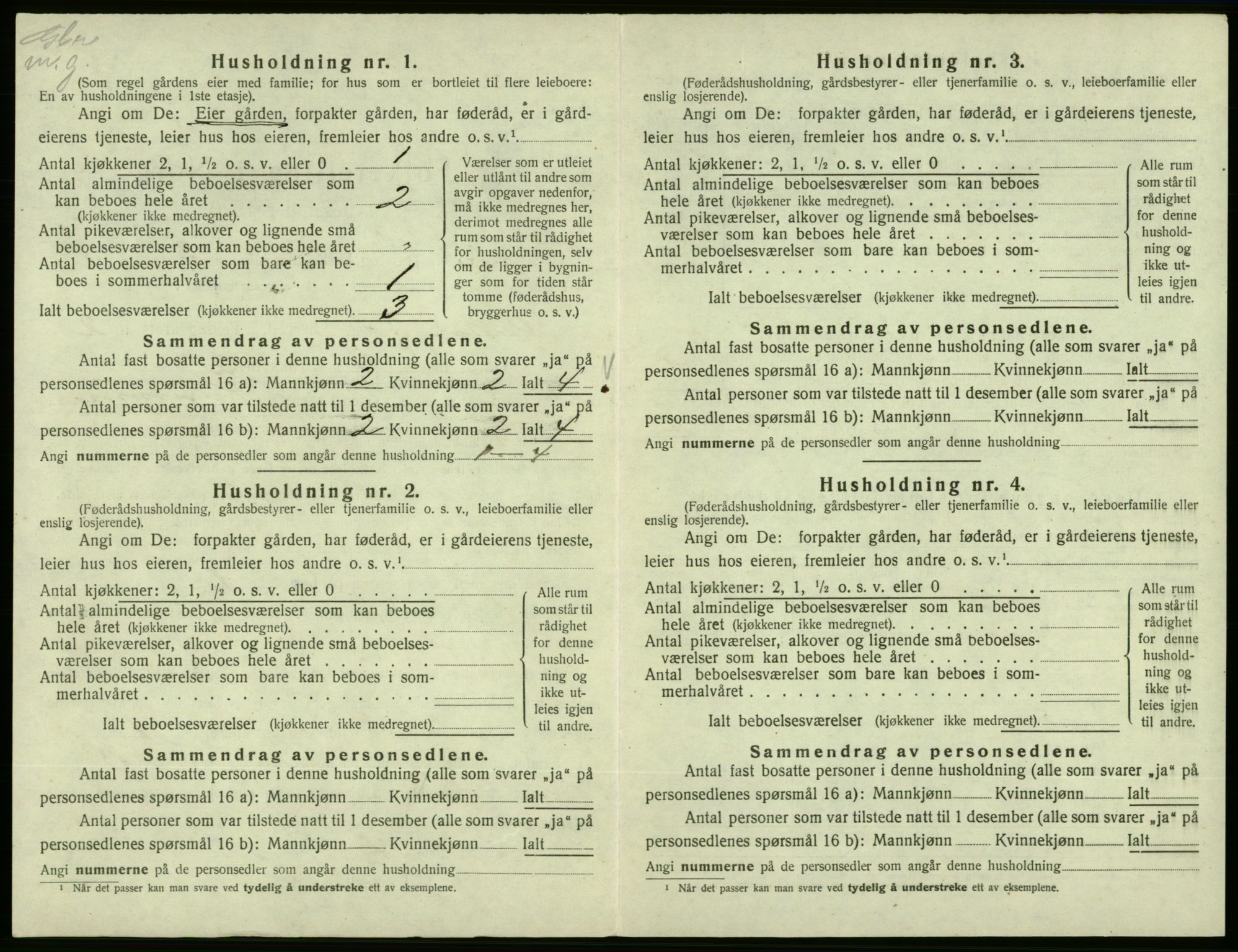 SAB, 1920 census for Vikebygd, 1920, p. 102