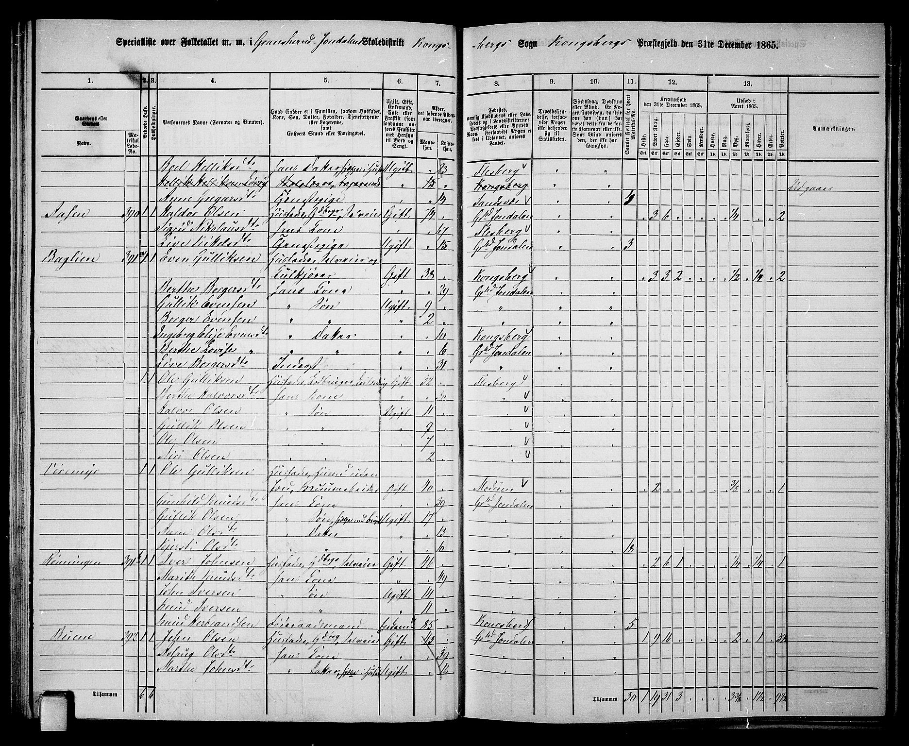 RA, 1865 census for Gransherad, 1865, p. 59