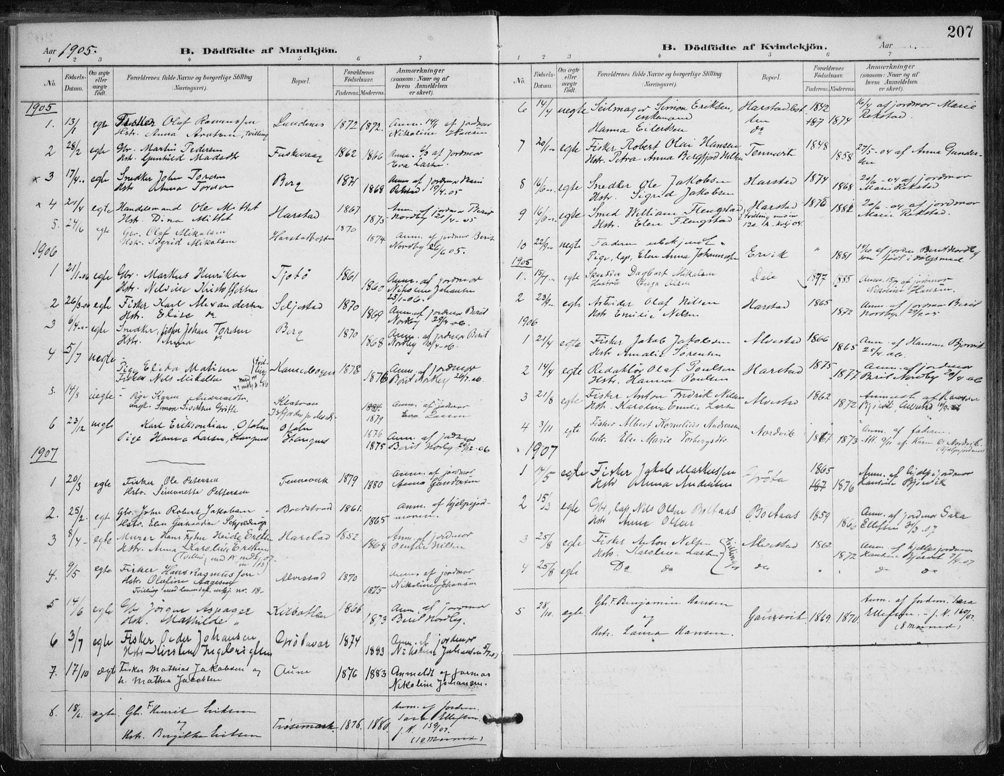 Trondenes sokneprestkontor, SATØ/S-1319/H/Ha/L0017kirke: Parish register (official) no. 17, 1899-1908, p. 207