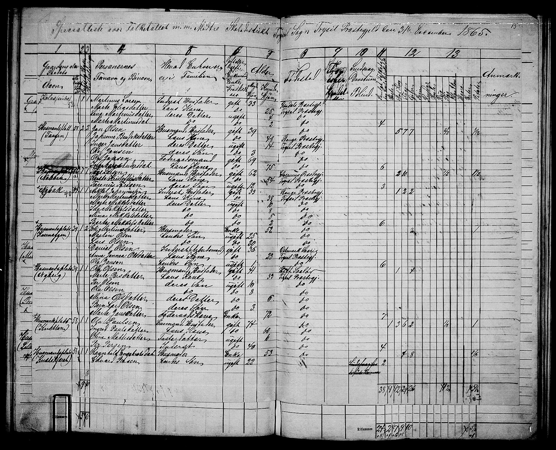 RA, 1865 census for Trysil, 1865, p. 124