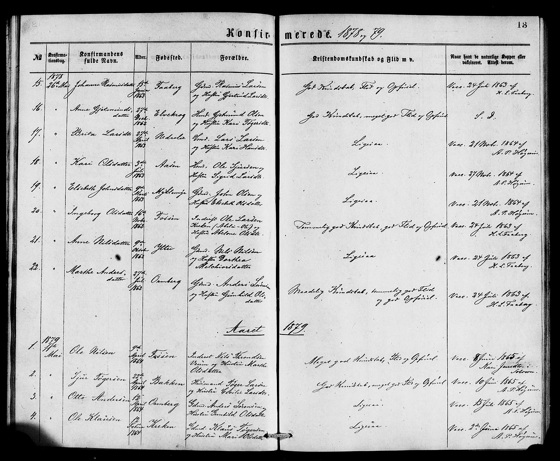 Jostedal sokneprestembete, SAB/A-80601/H/Haa/Haaa/L0007: Parish register (official) no. A 7, 1874-1886, p. 13