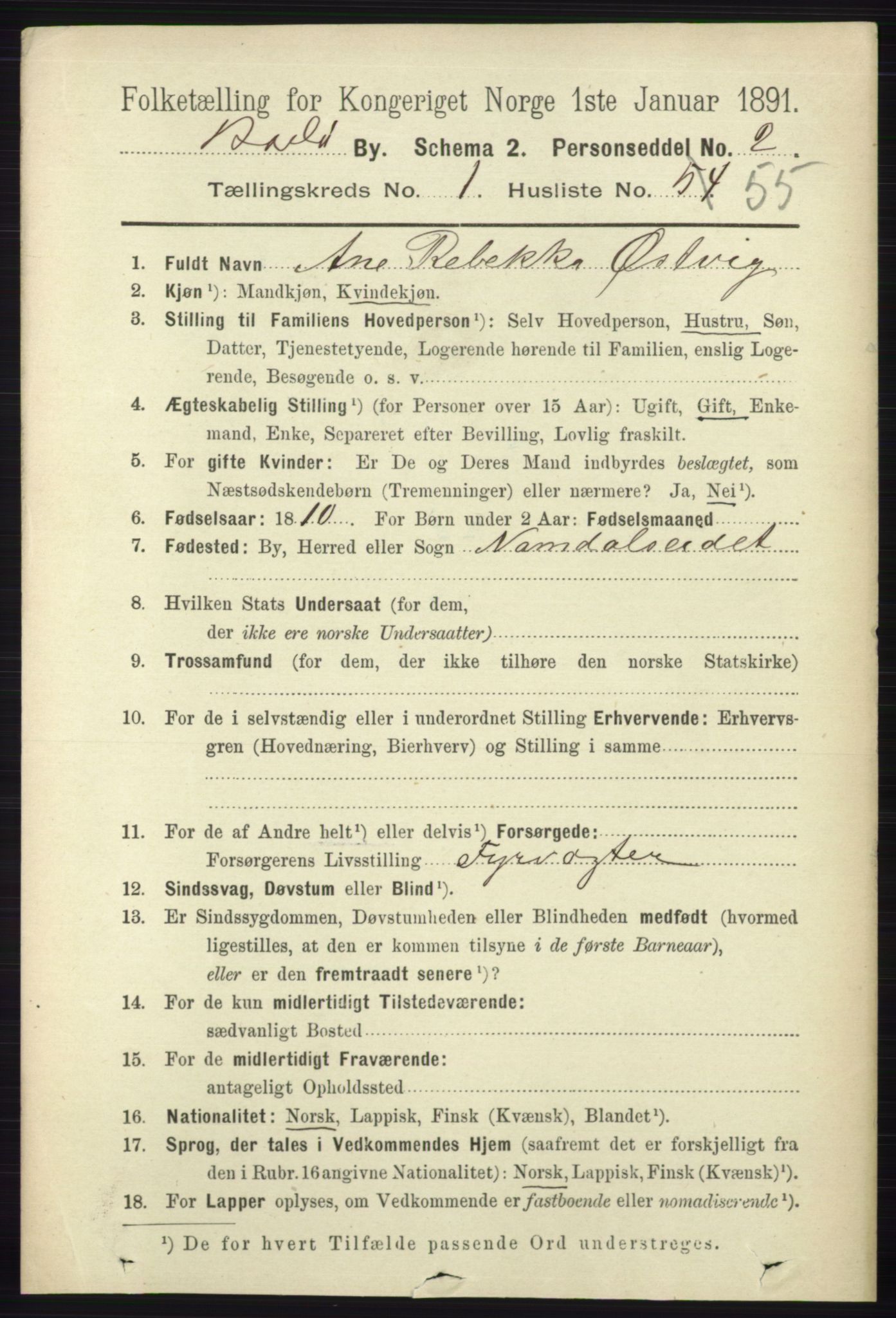 RA, 1891 census for 1804 Bodø, 1891, p. 847