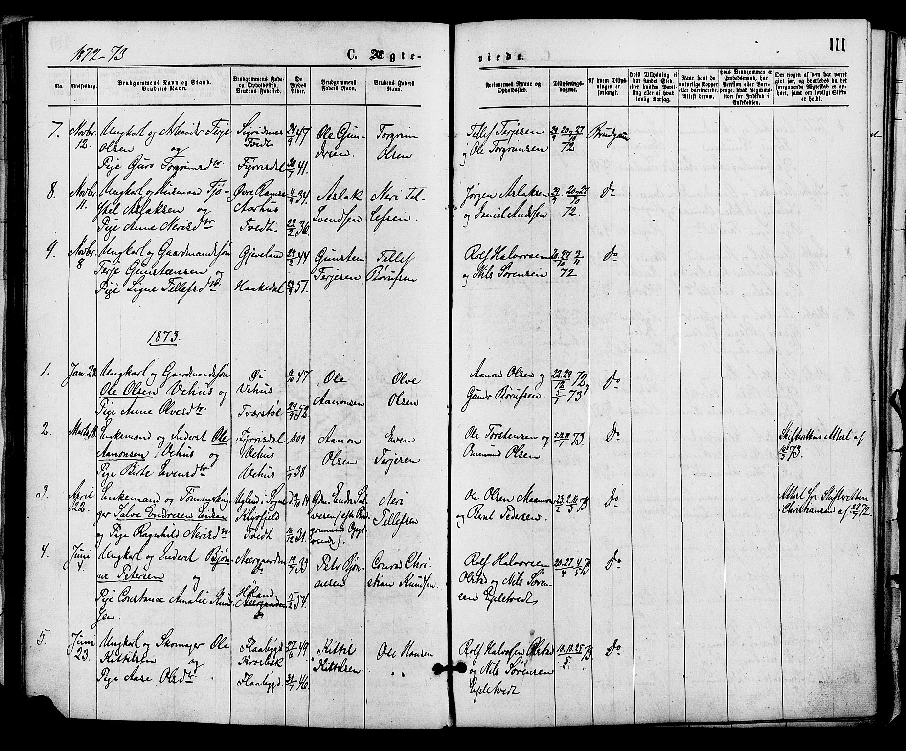 Åmli sokneprestkontor, SAK/1111-0050/F/Fa/Fac/L0009: Parish register (official) no. A 9 /1, 1869-1884, p. 111