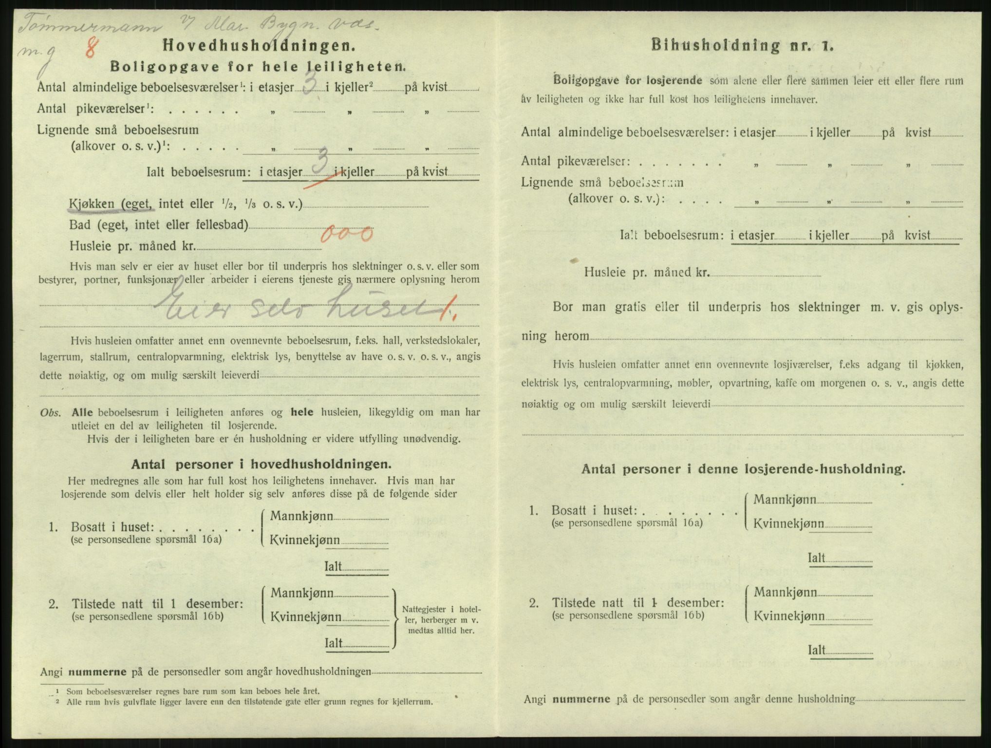 SAKO, 1920 census for Horten, 1920, p. 4396