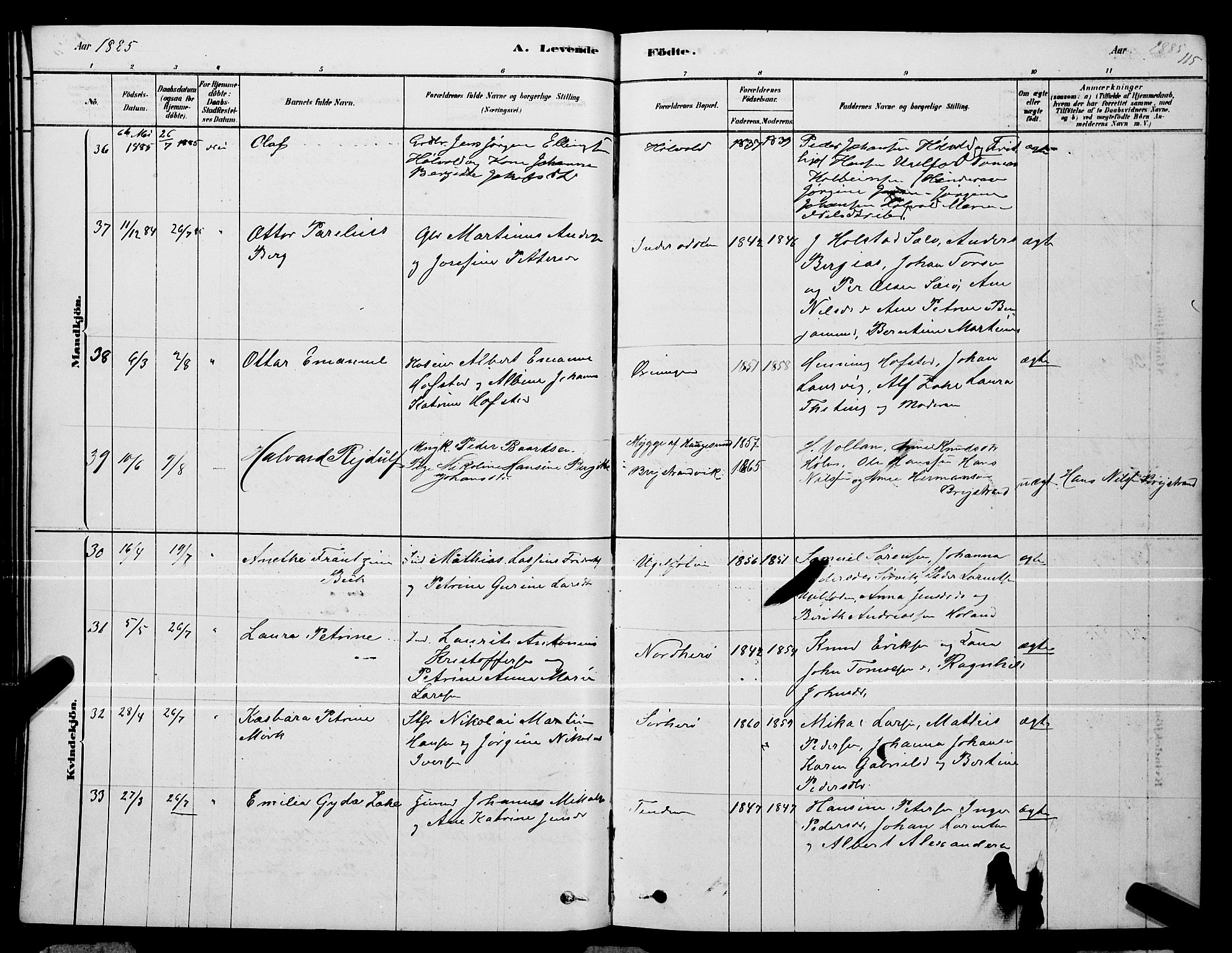 Ministerialprotokoller, klokkerbøker og fødselsregistre - Nordland, AV/SAT-A-1459/834/L0513: Parish register (copy) no. 834C04, 1877-1892, p. 115