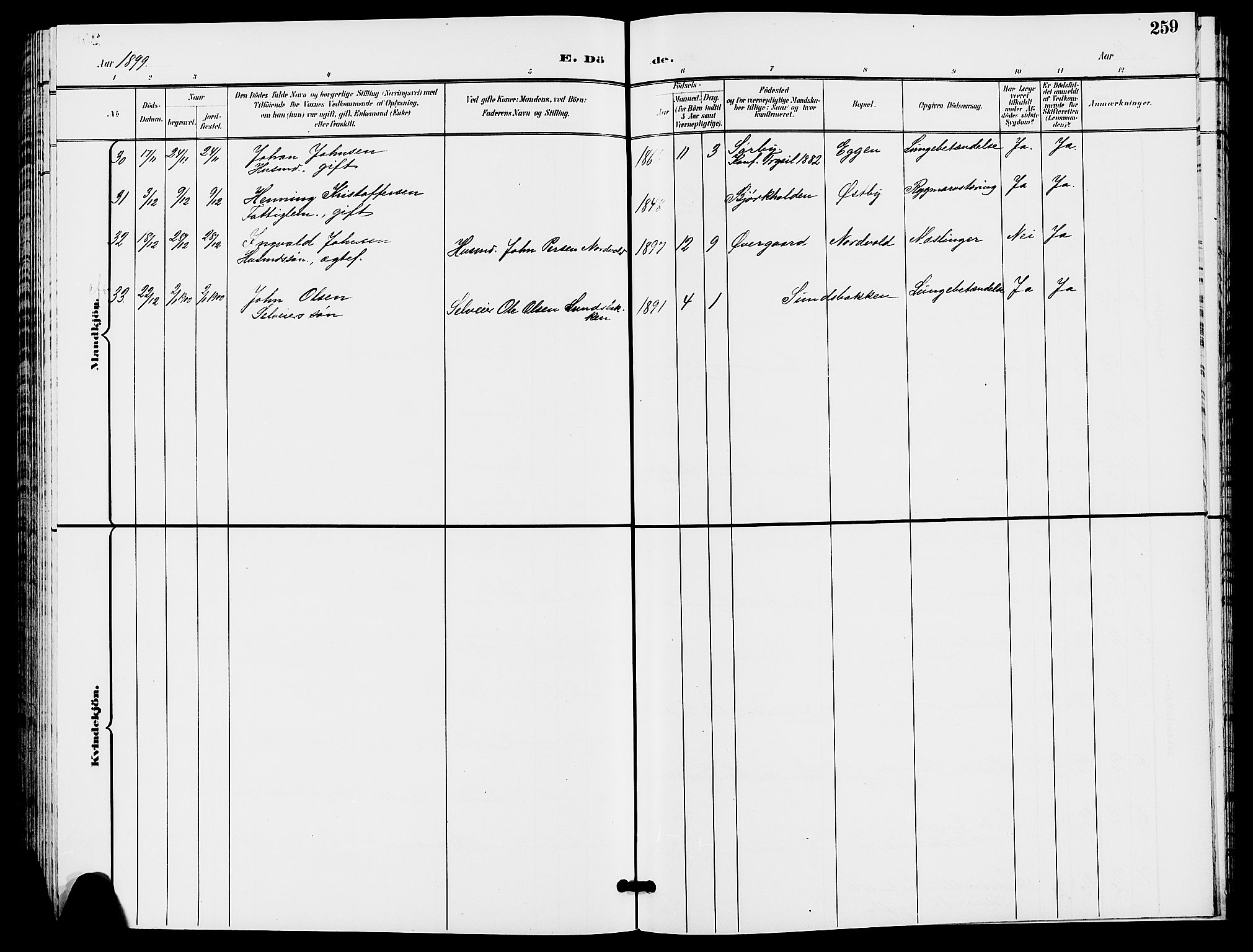 Trysil prestekontor, SAH/PREST-046/H/Ha/Hab/L0006: Parish register (copy) no. 6, 1896-1912, p. 259