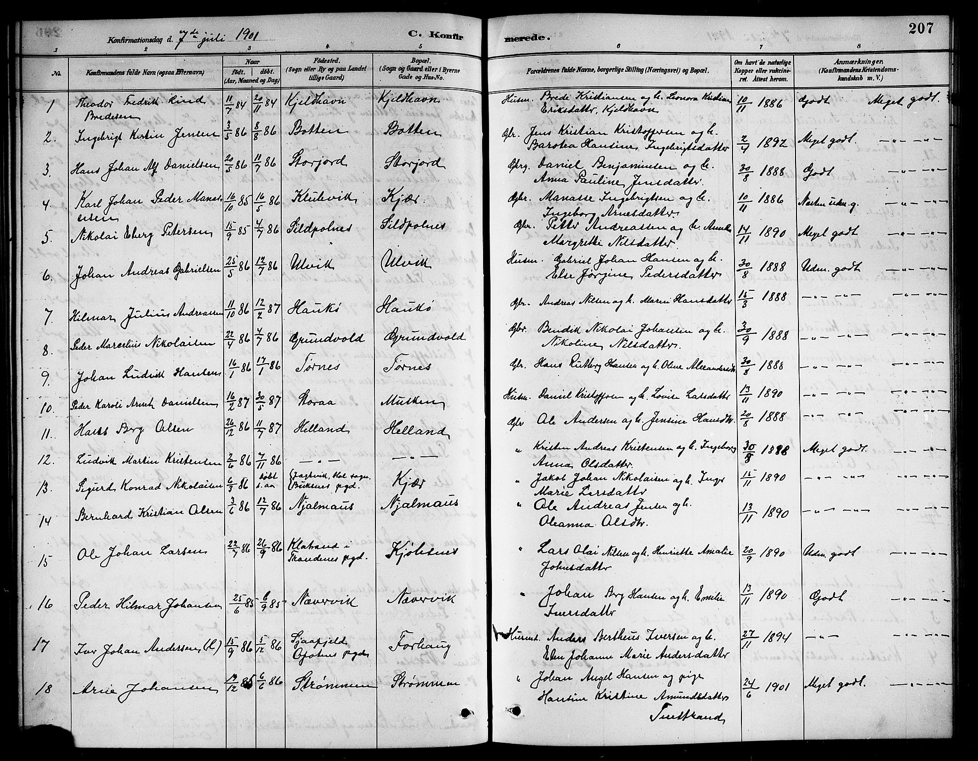 Ministerialprotokoller, klokkerbøker og fødselsregistre - Nordland, AV/SAT-A-1459/861/L0876: Parish register (copy) no. 861C02, 1887-1903, p. 207