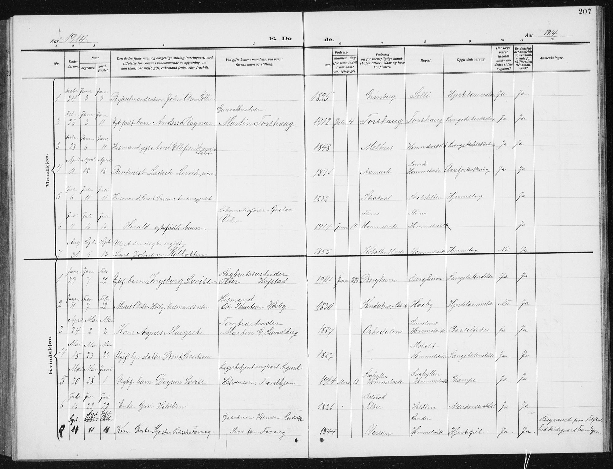 Ministerialprotokoller, klokkerbøker og fødselsregistre - Sør-Trøndelag, AV/SAT-A-1456/617/L0431: Parish register (copy) no. 617C02, 1910-1936, p. 207